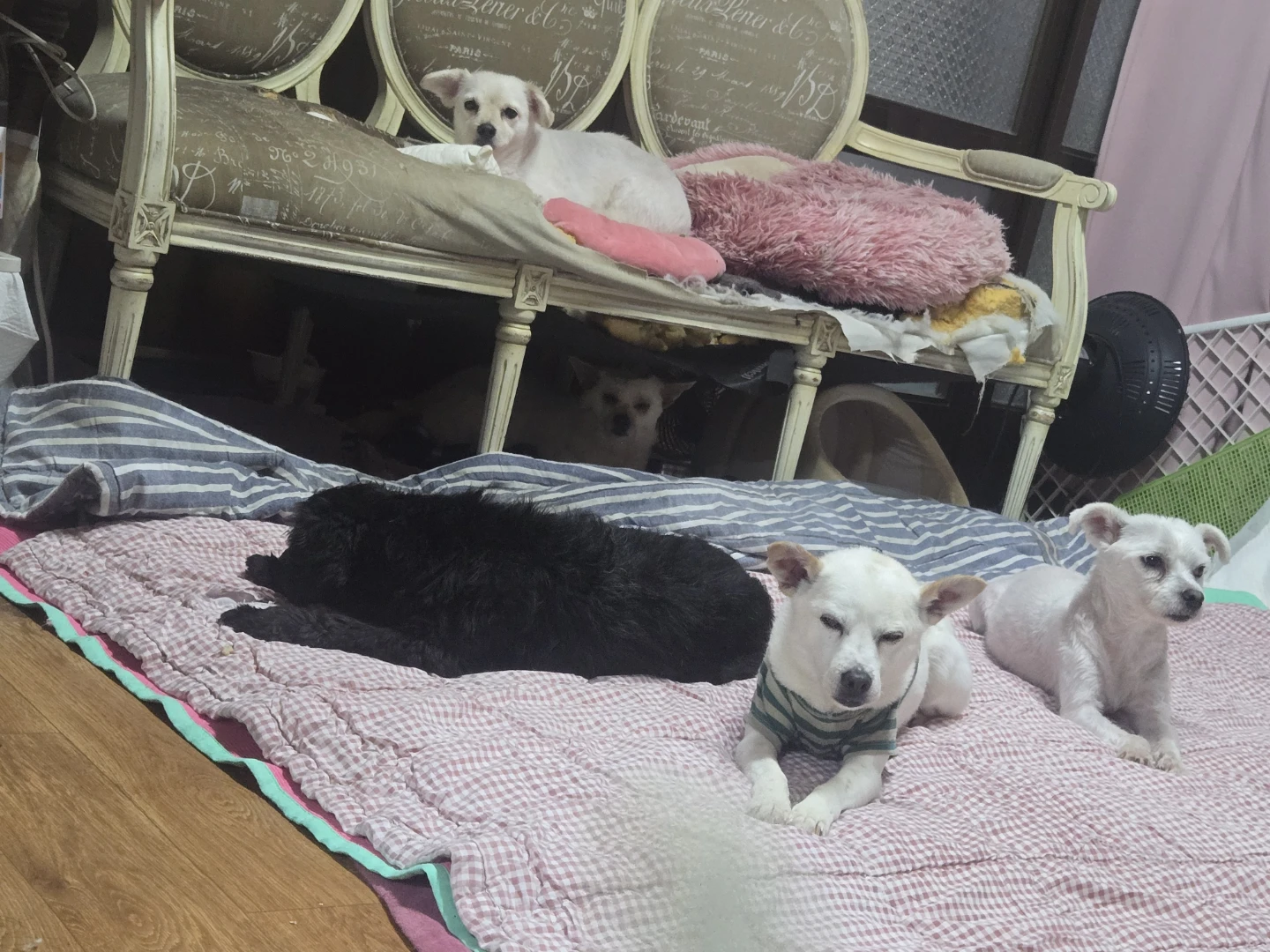 12아이 키우고있어요