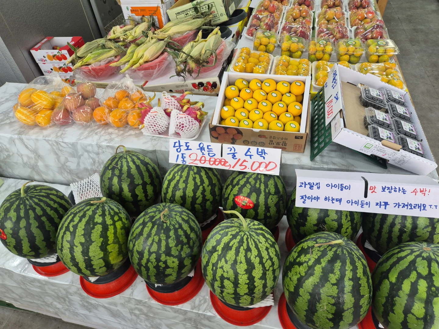 제철 과일의 맛! 🍊 감귤 애플망고 입점