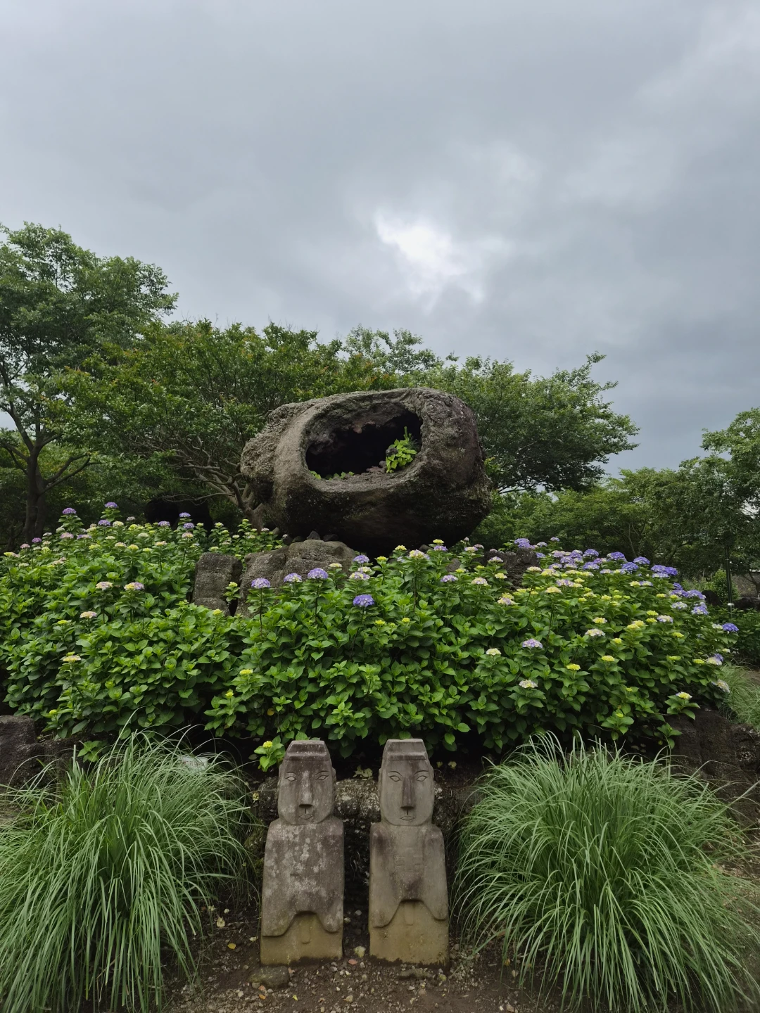 제주 동화마을 수국