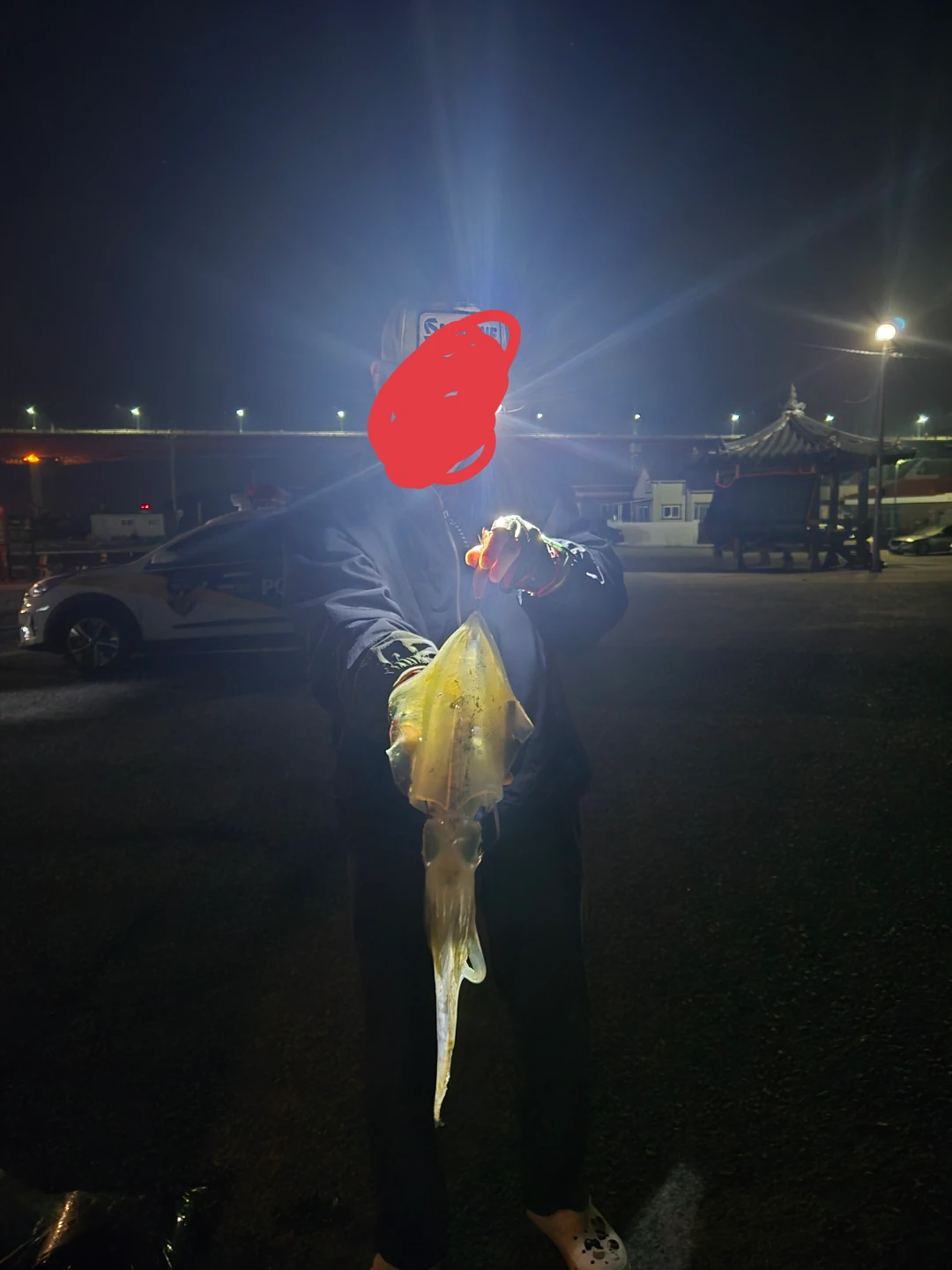 무늬오징어 낚시