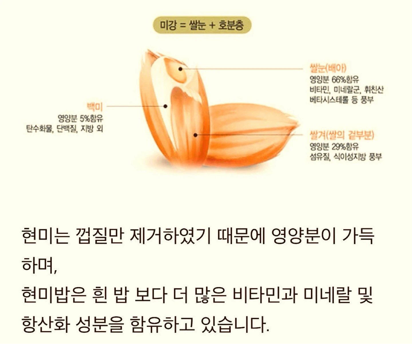 < 생식이 좋은 이유는 너무 많습니다. >