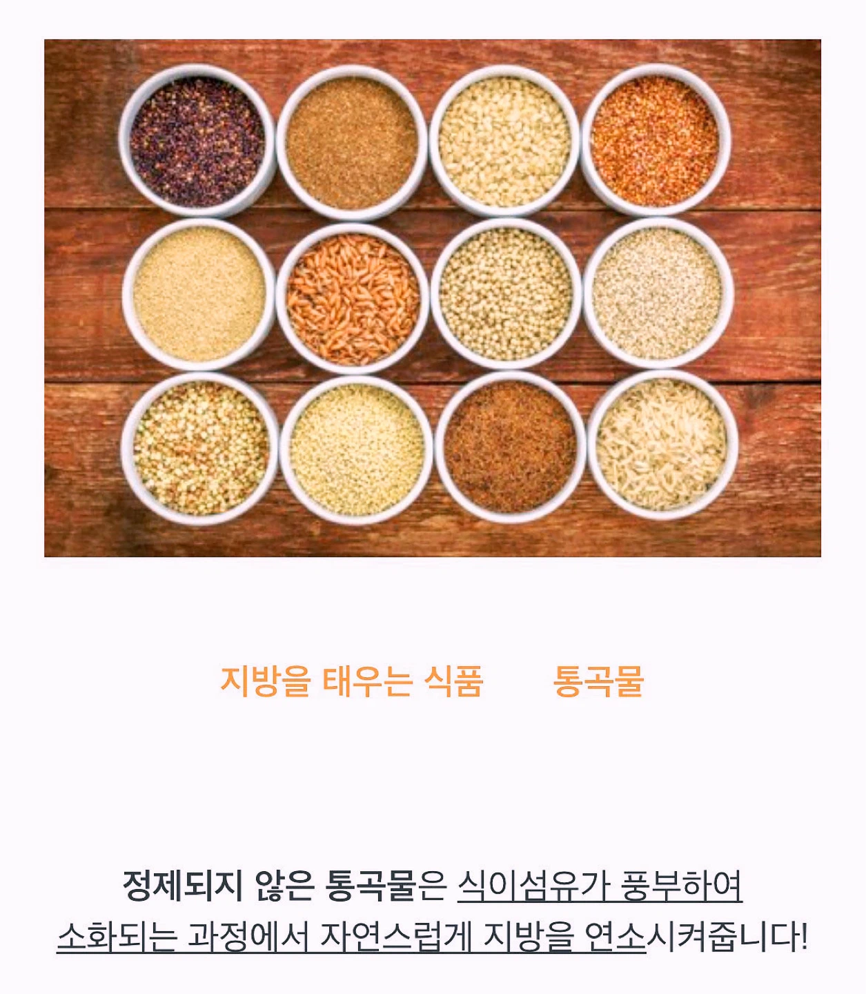 < 생식이 좋은 이유는 너무 많습니다. >