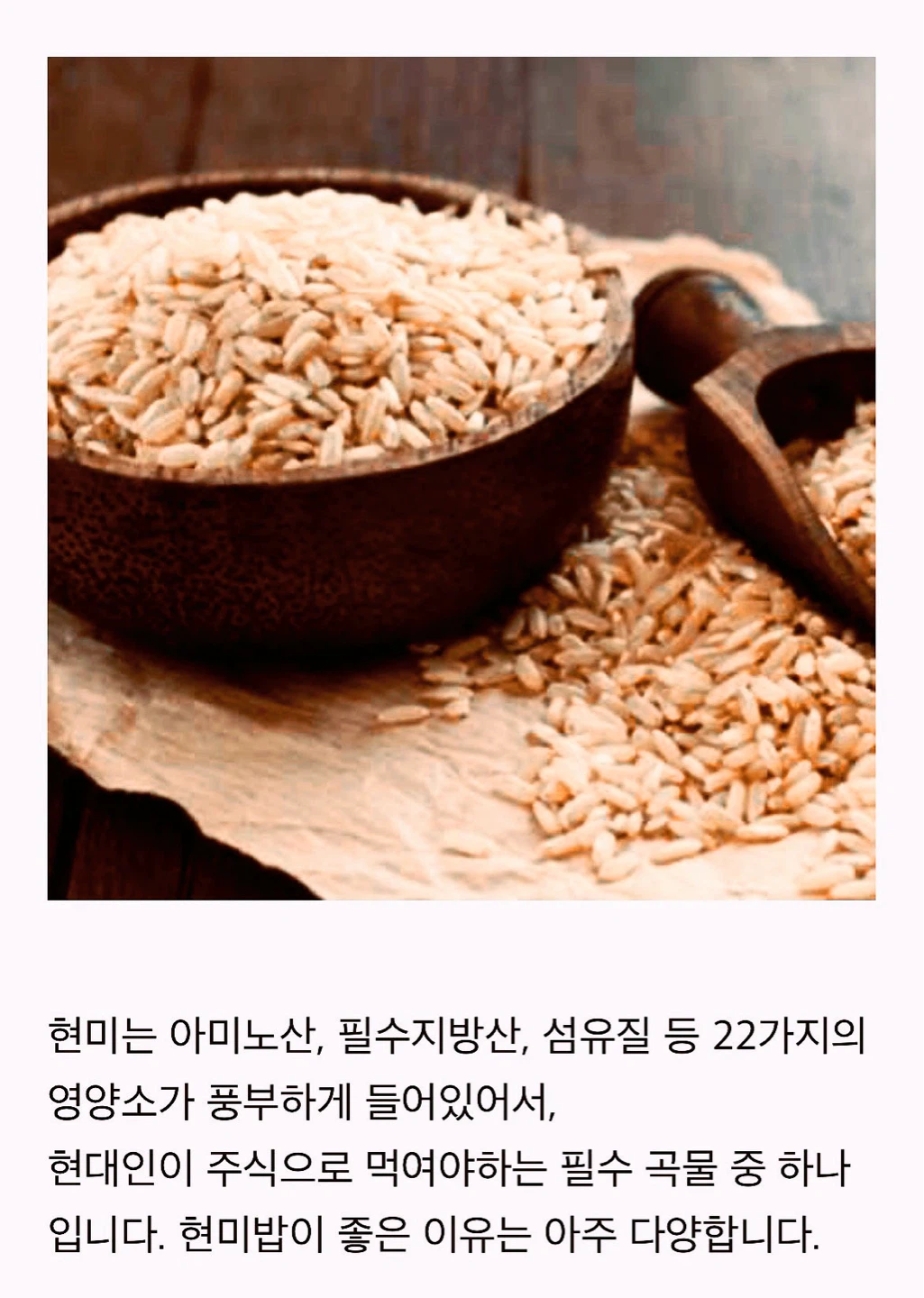 < 생식이 좋은 이유는 너무 많습니다. >