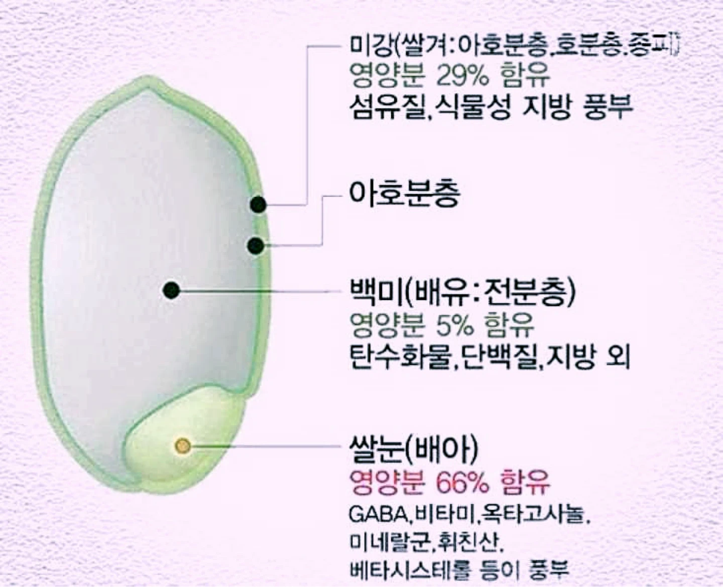 < 생식이 좋은 이유는 너무 많습니다. >