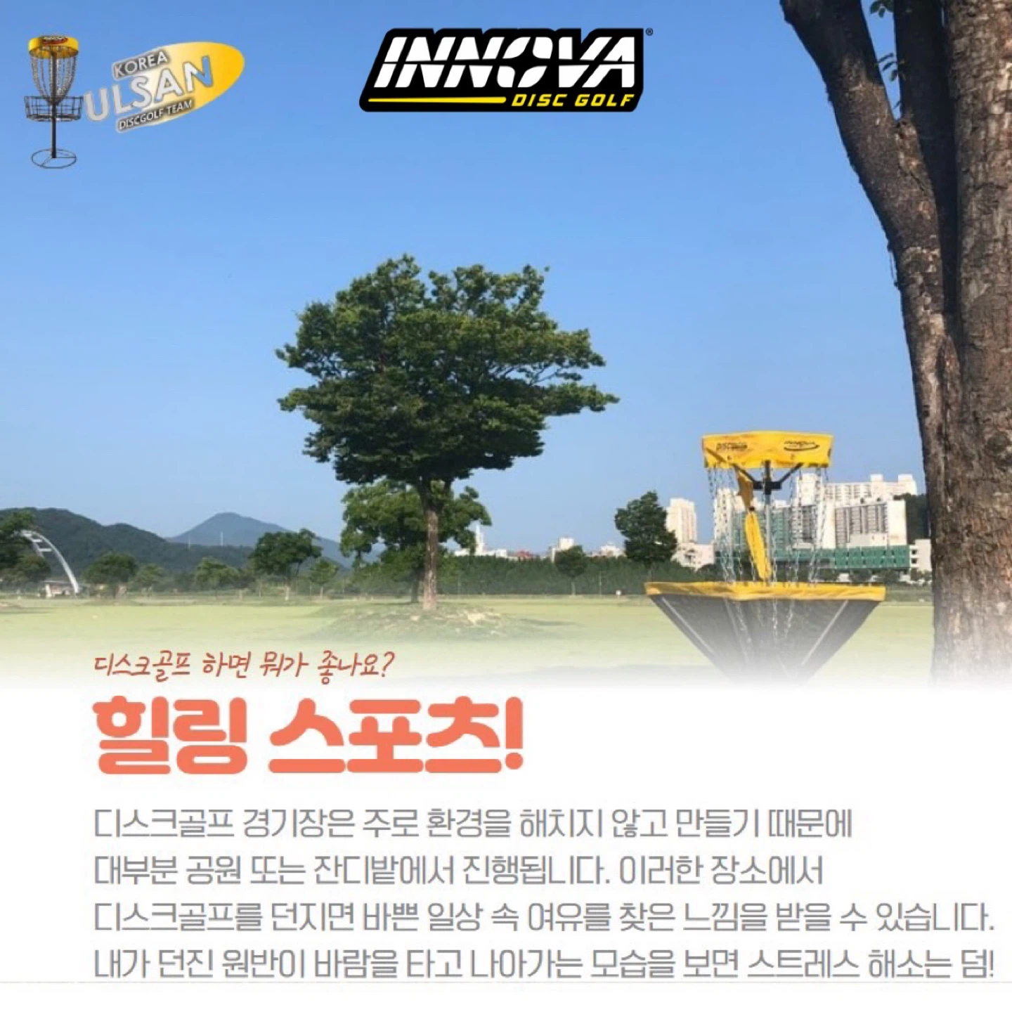 디스크골프 카드 뉴스
