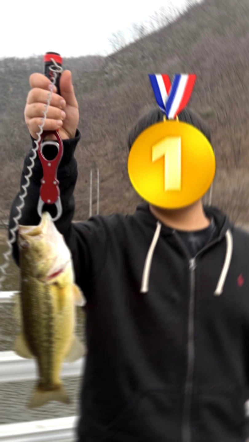46cm
