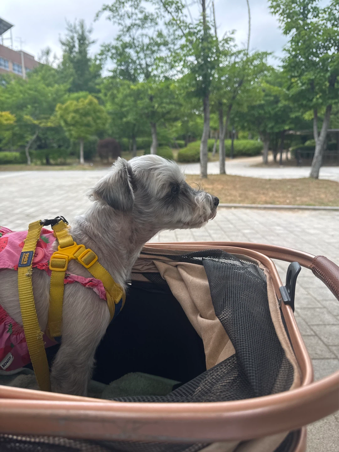 오늘은 날씨가 흐려요