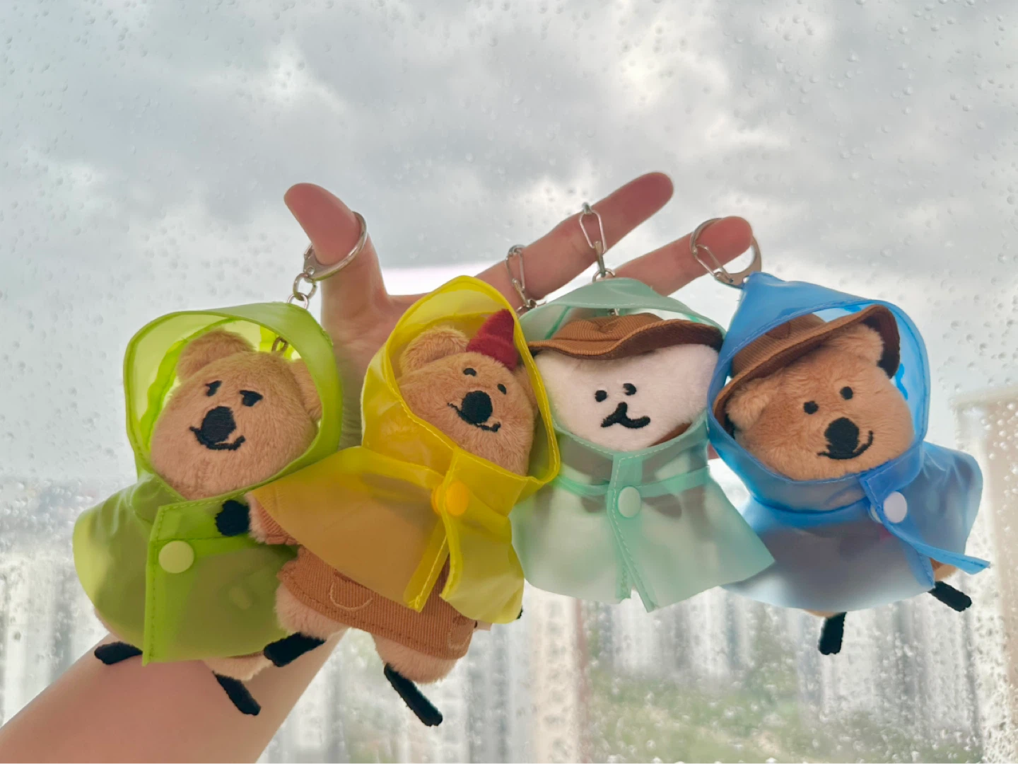 비 오는 날의 쿼카☔️