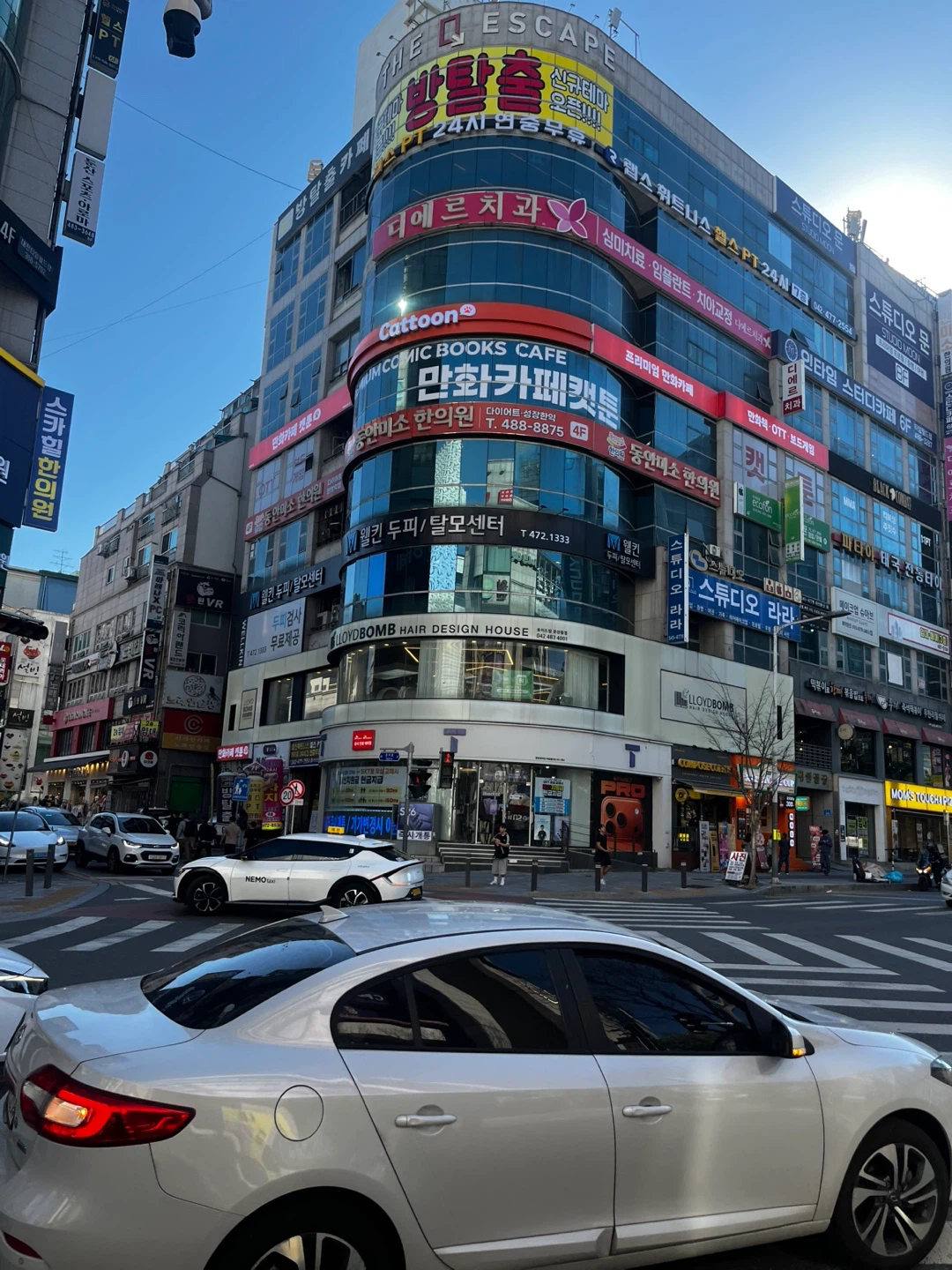 둔산동 만화 카페 캣툰 추천해요!