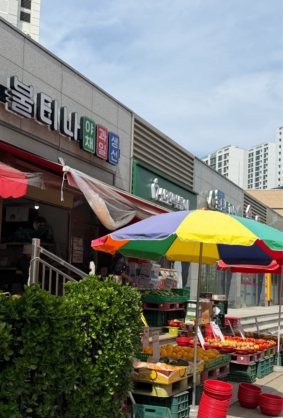 감일동 제일 저렴한 야채 과일 가게!🍓🥕