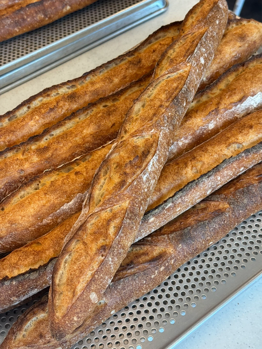 특별한 원데이🥖