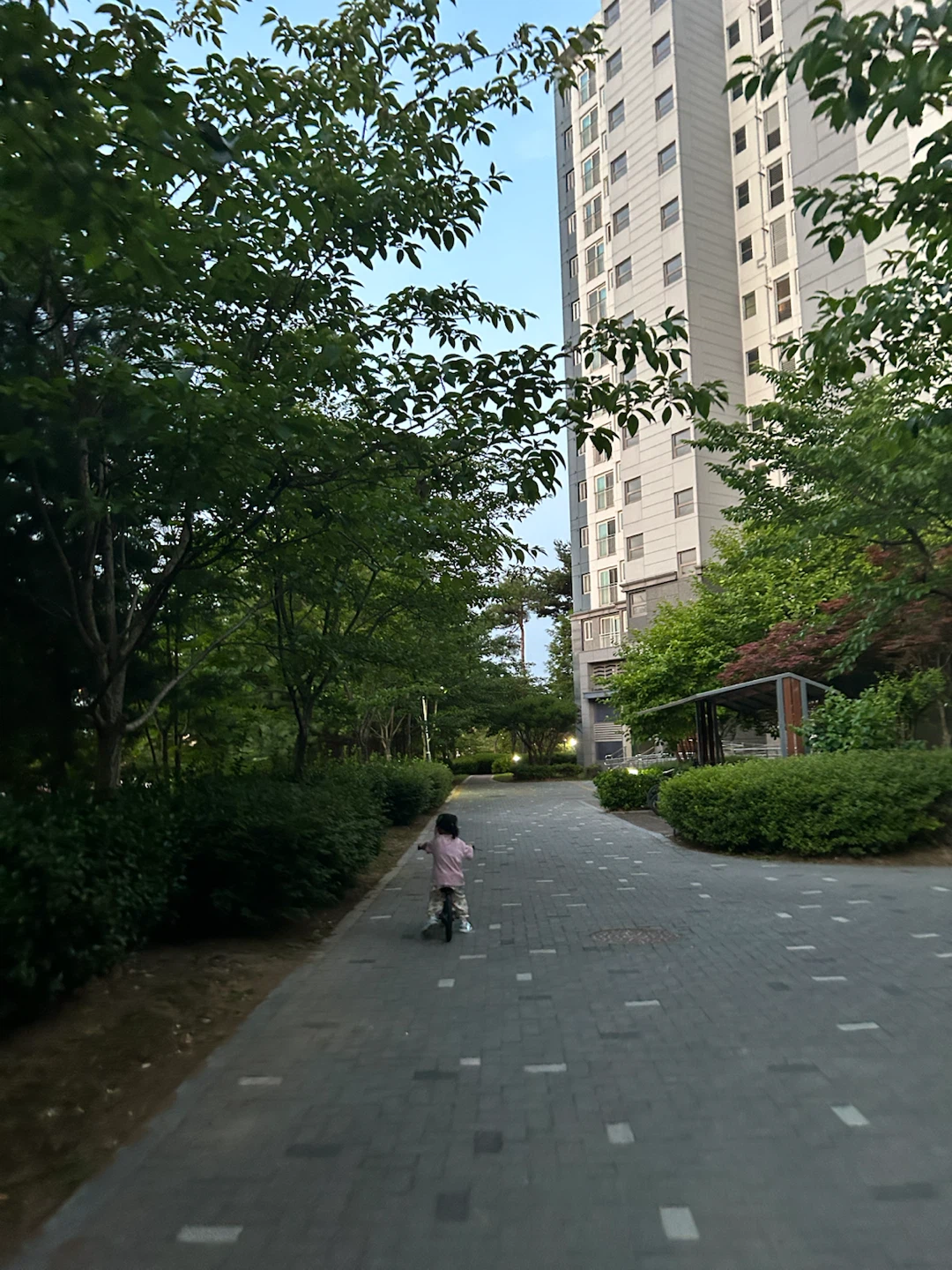 오늘은 자전거와 함께
