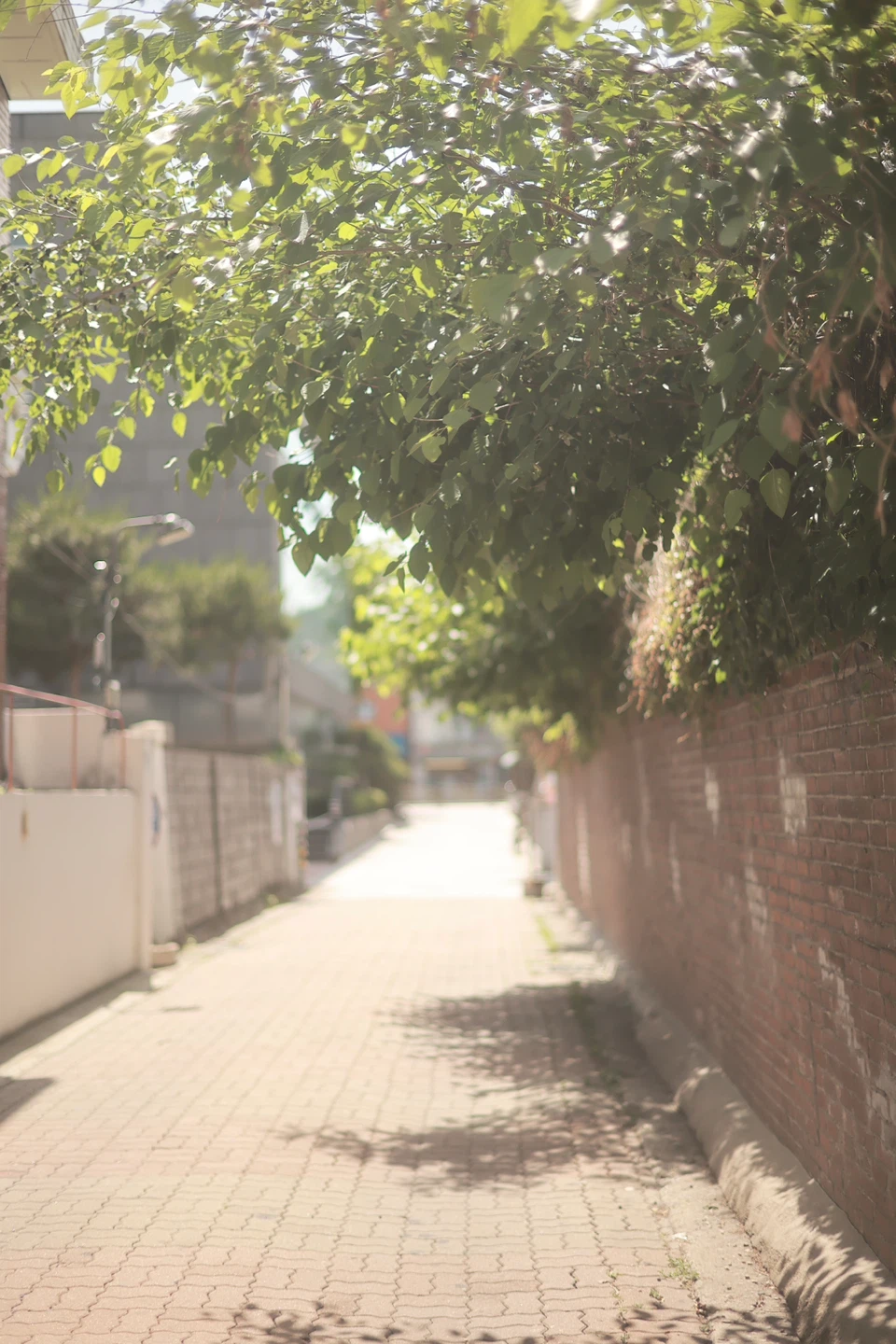 [출사 장소 추천] 서촌 통인동