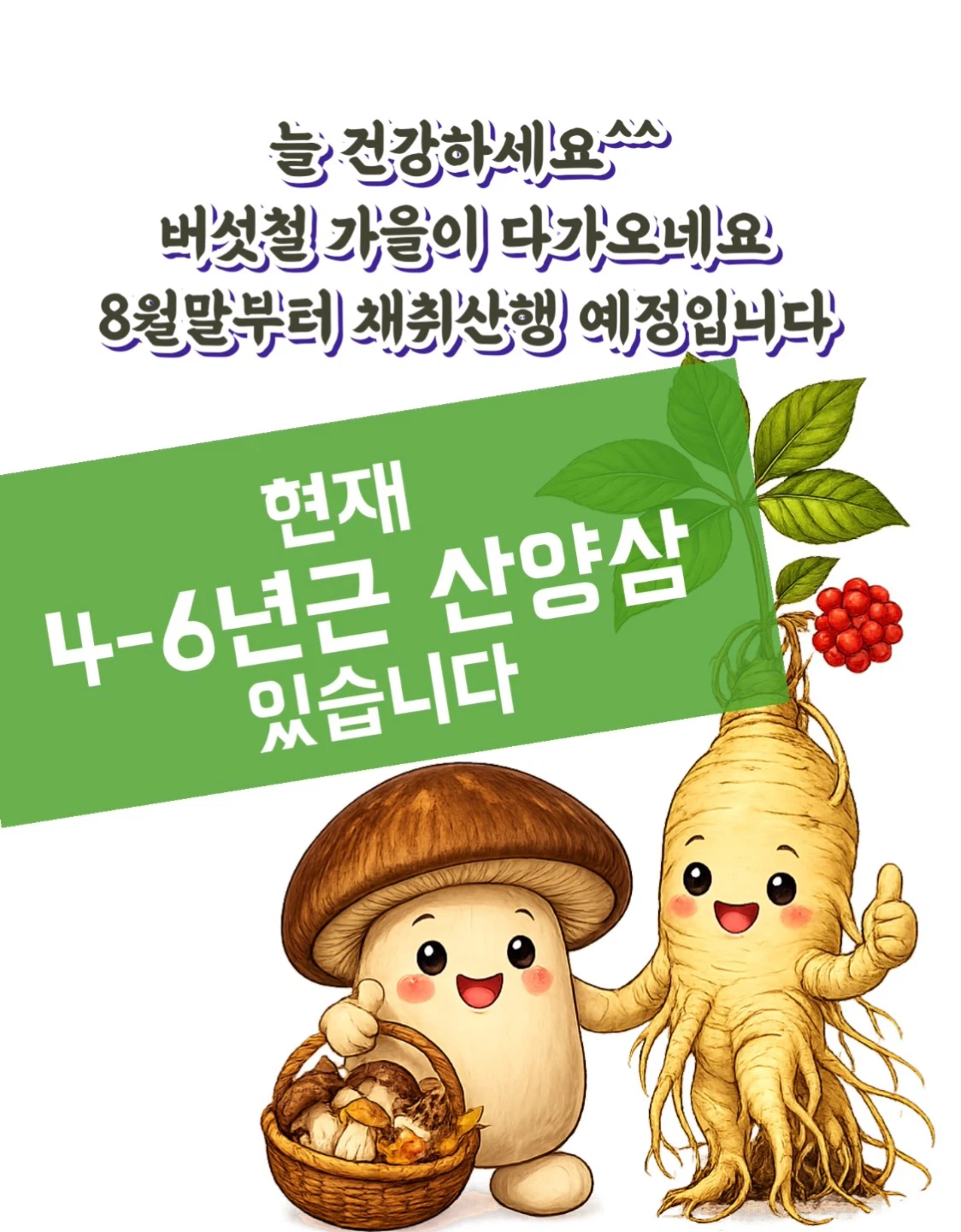 올해 버섯산행/산양삼