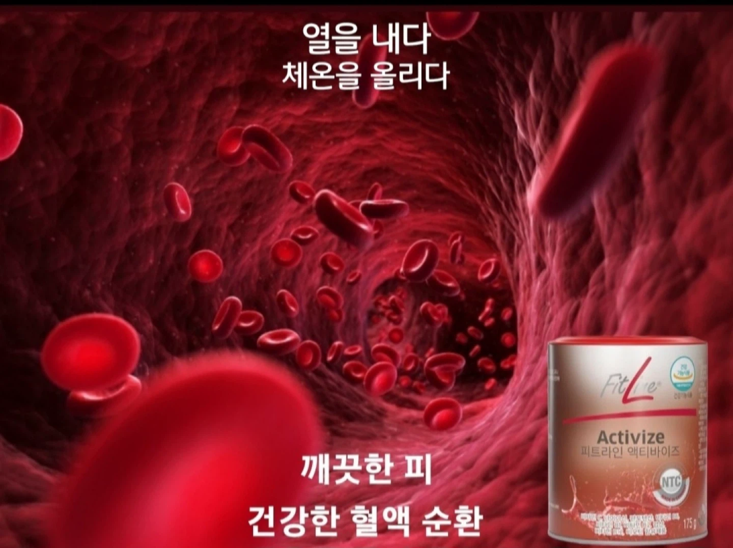 프로모션 엑티바이즈