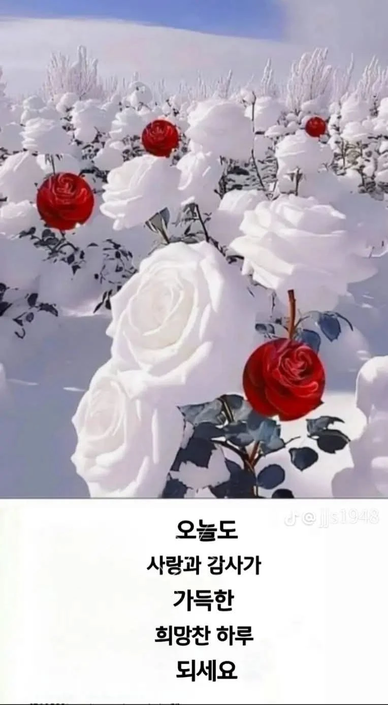 안녕하세요 좋은 하루 입니다 신호수 지원자 입니다