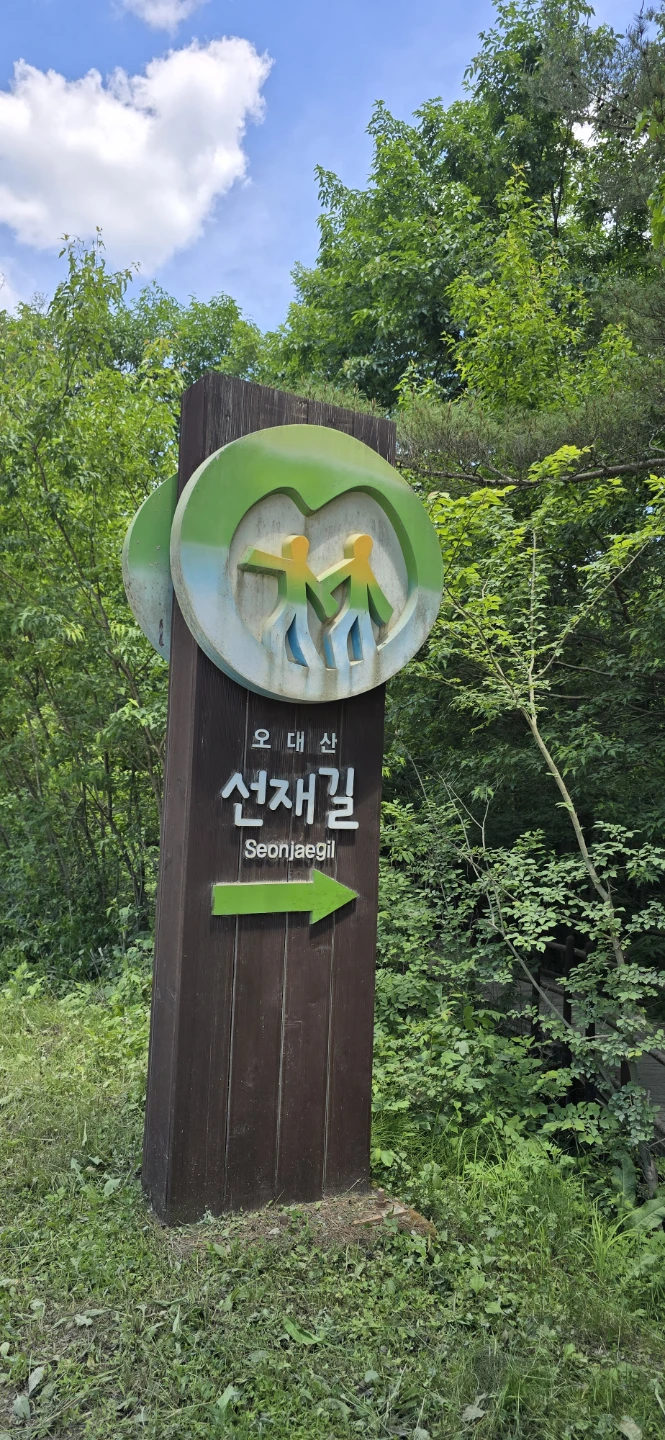6. 6. 토요일 오대산 선재길