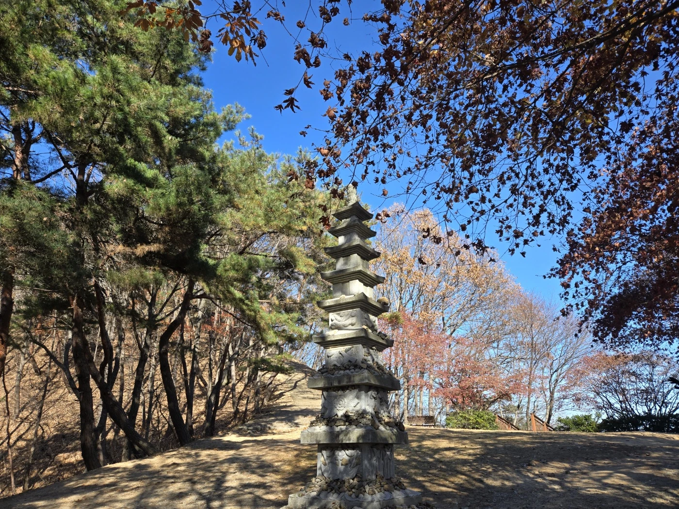대전 장태산휴양림🏝🏕🏖