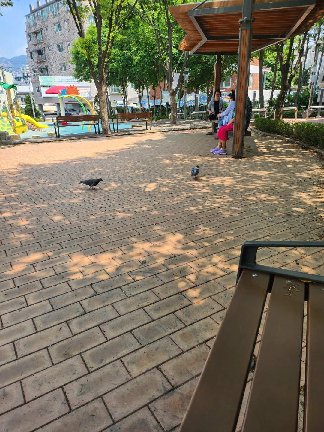공원에서 비둘기한테밥도  주고  시원한커피마시고잇어요   ㅋㅋ 😂 😆