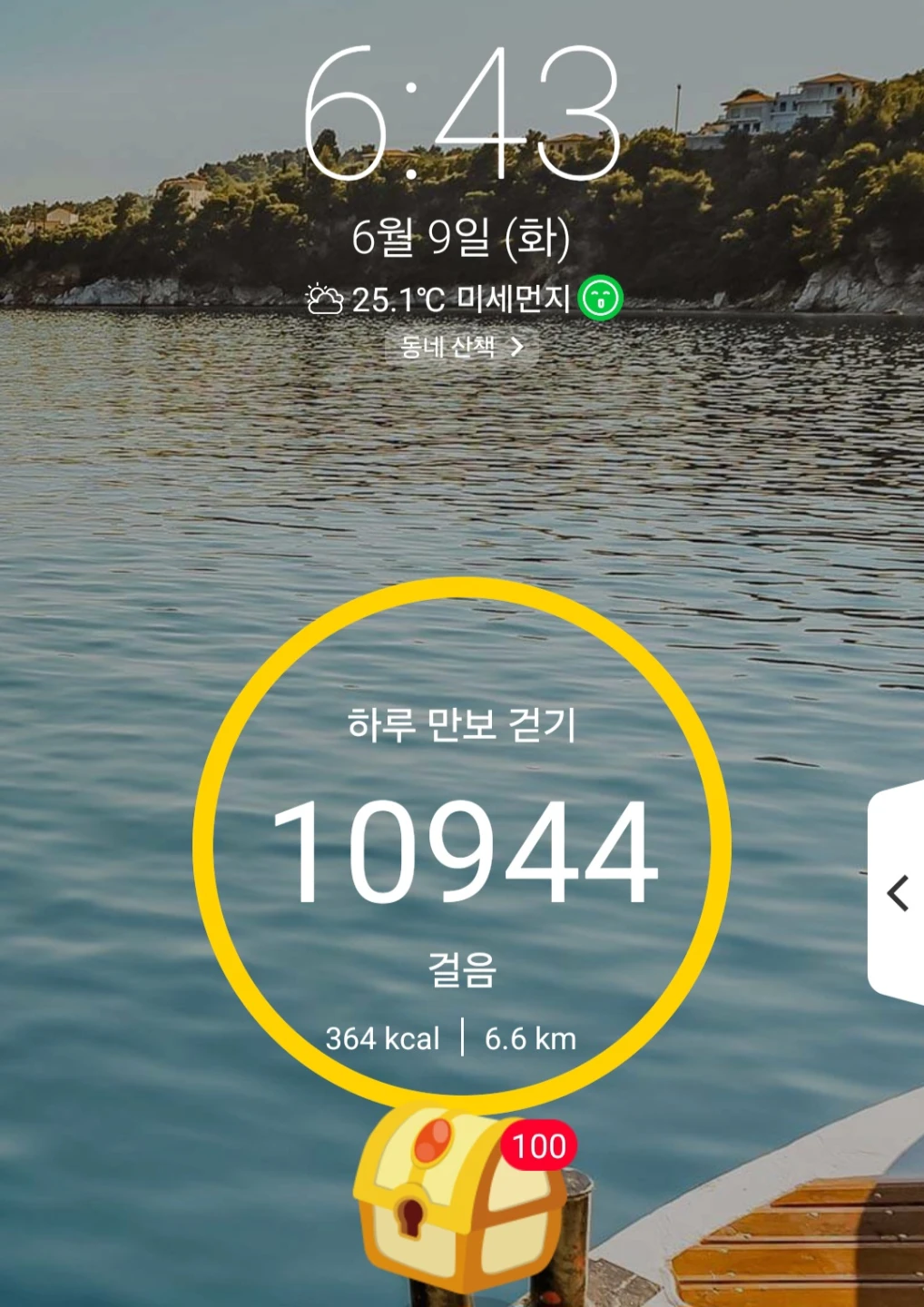 만보 인증