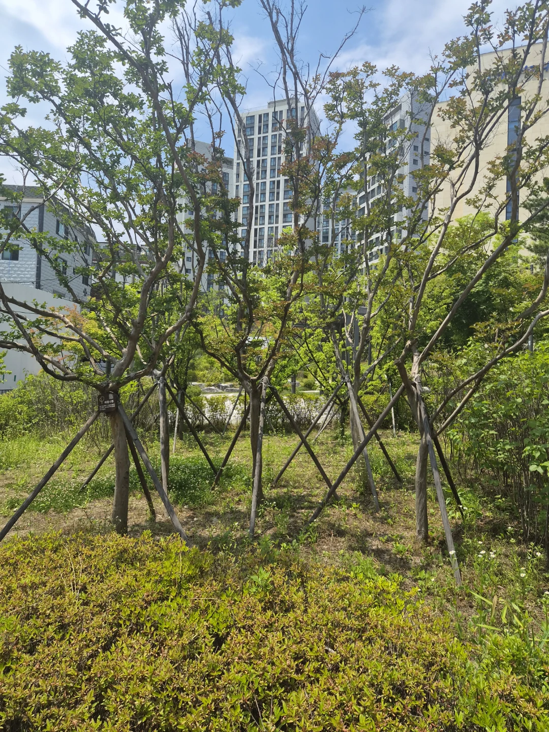 출석체크