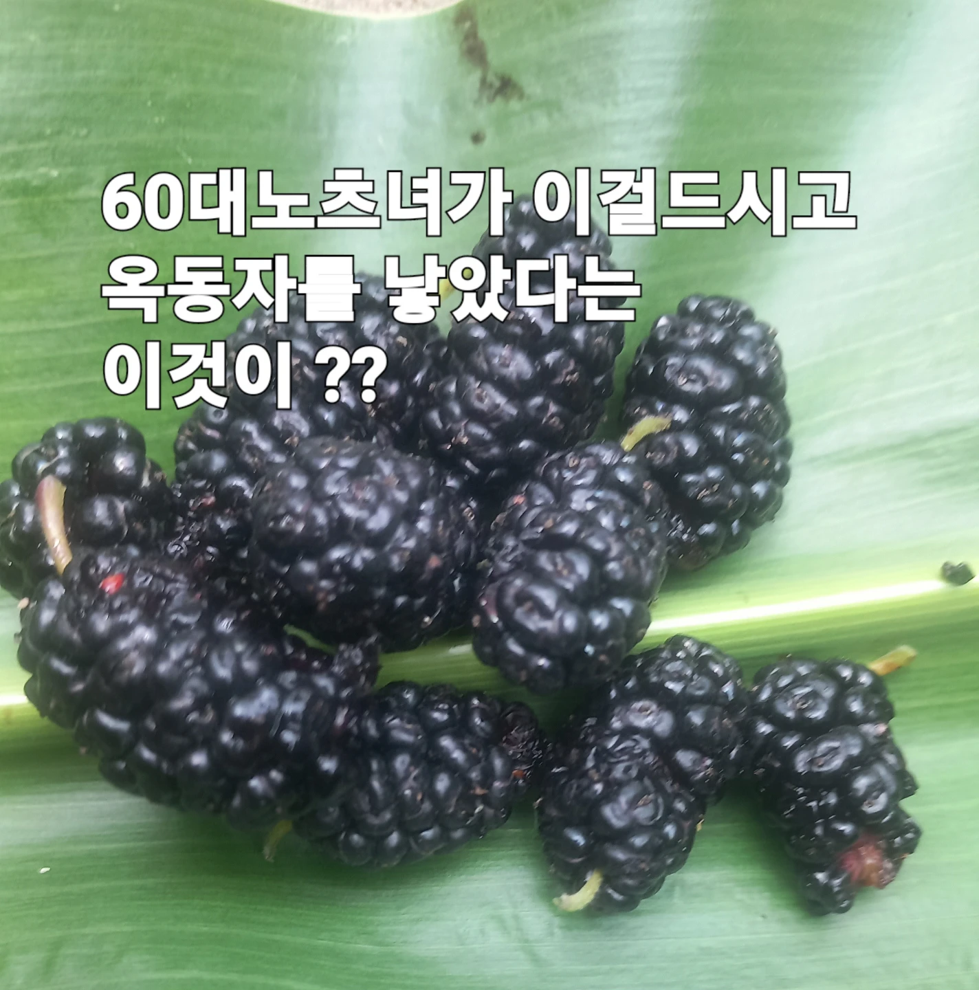 스트레스 해소법 공유! ✨