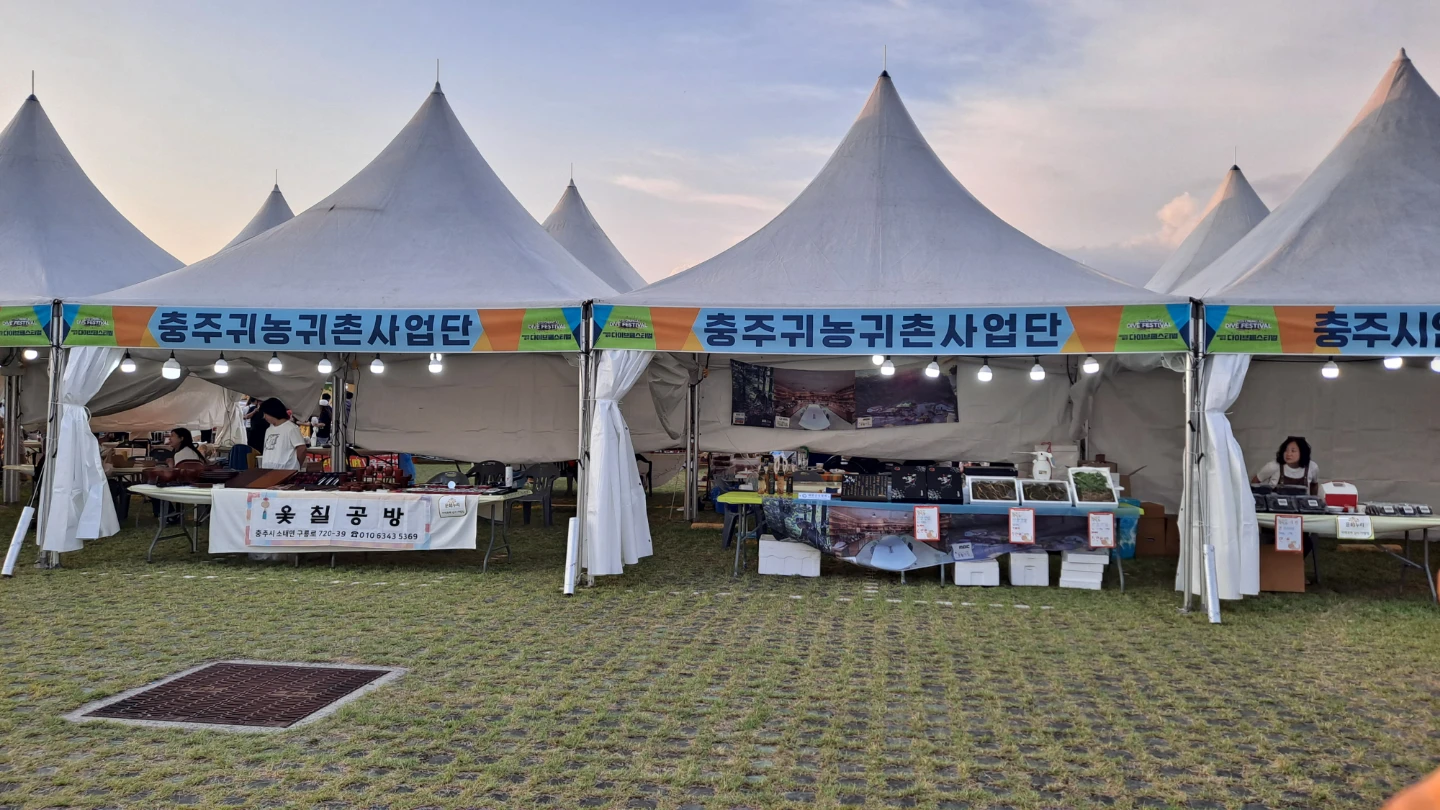 충주다이브페스티벌