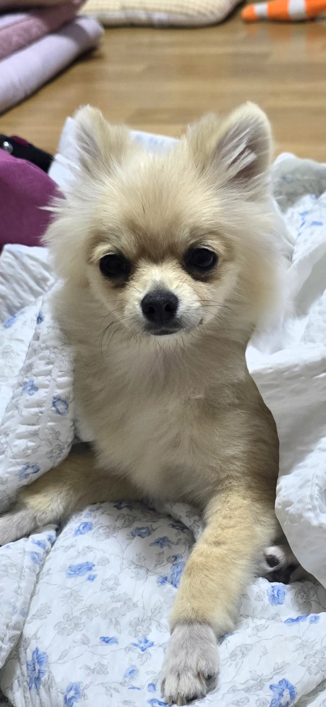 우리아이 얼굴에 M 자가 있어요 ㅎㅎ