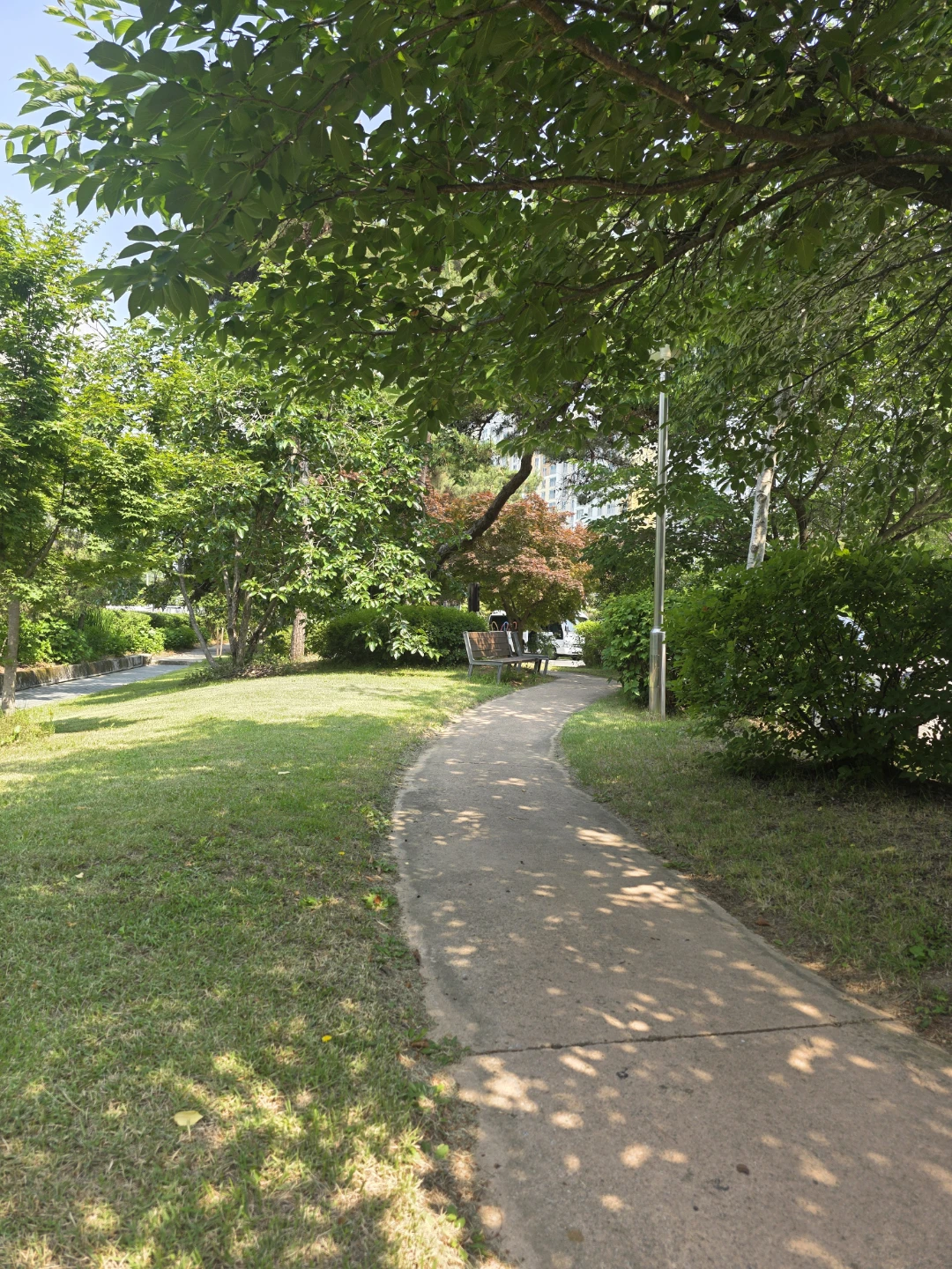 아침 산책🌿