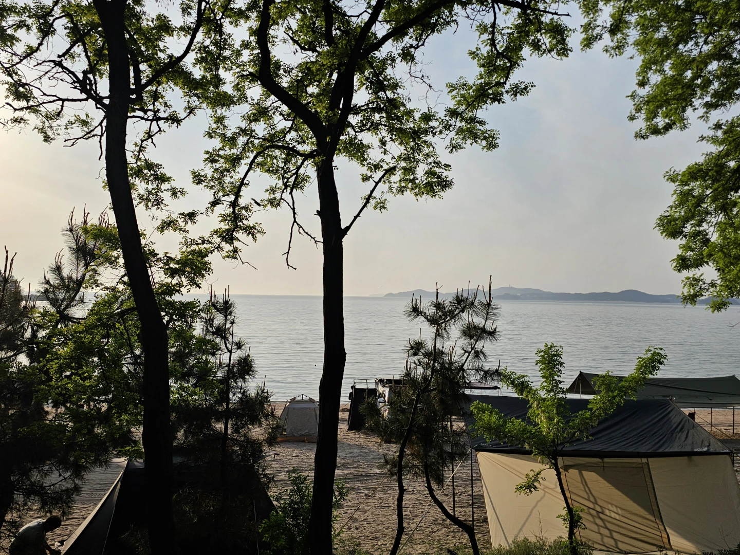 인생 차박지 추천해주세요! 🏕️
