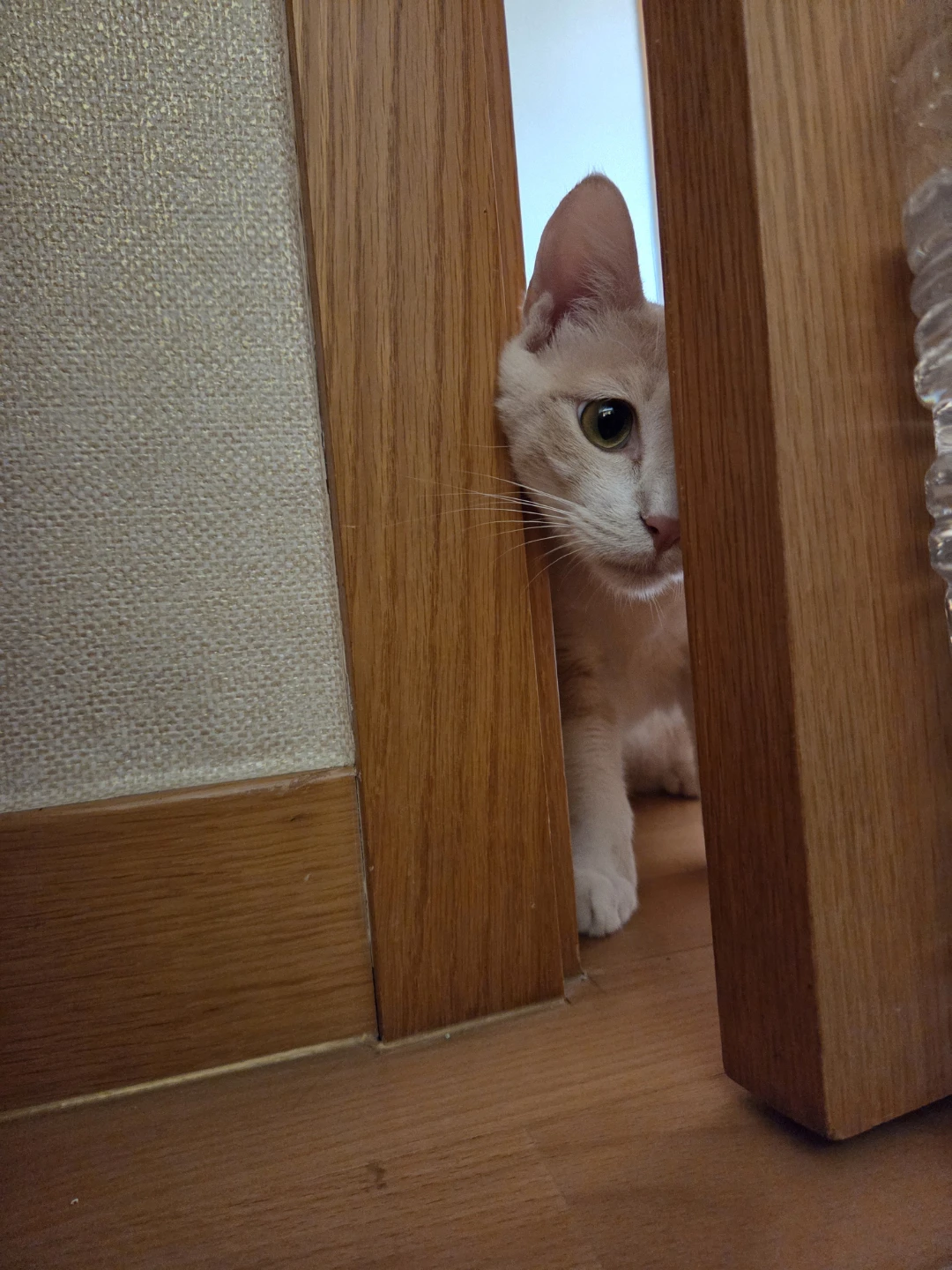 문 열라고 ㅠㅠ!