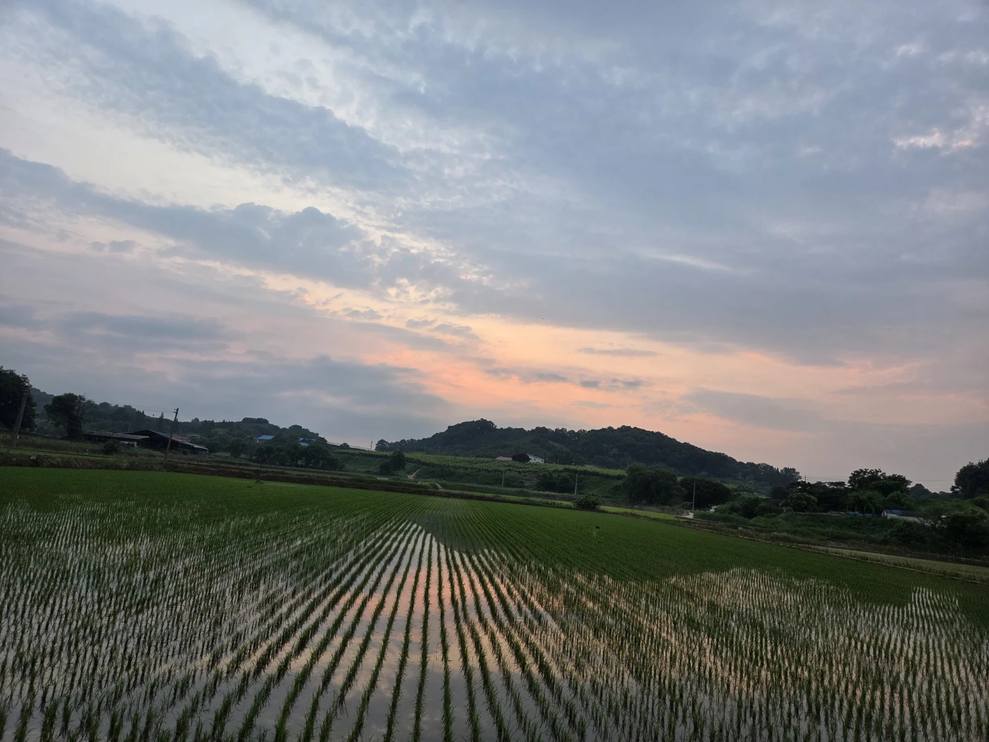 안녕하세요 오늘도 출석체크 합니다