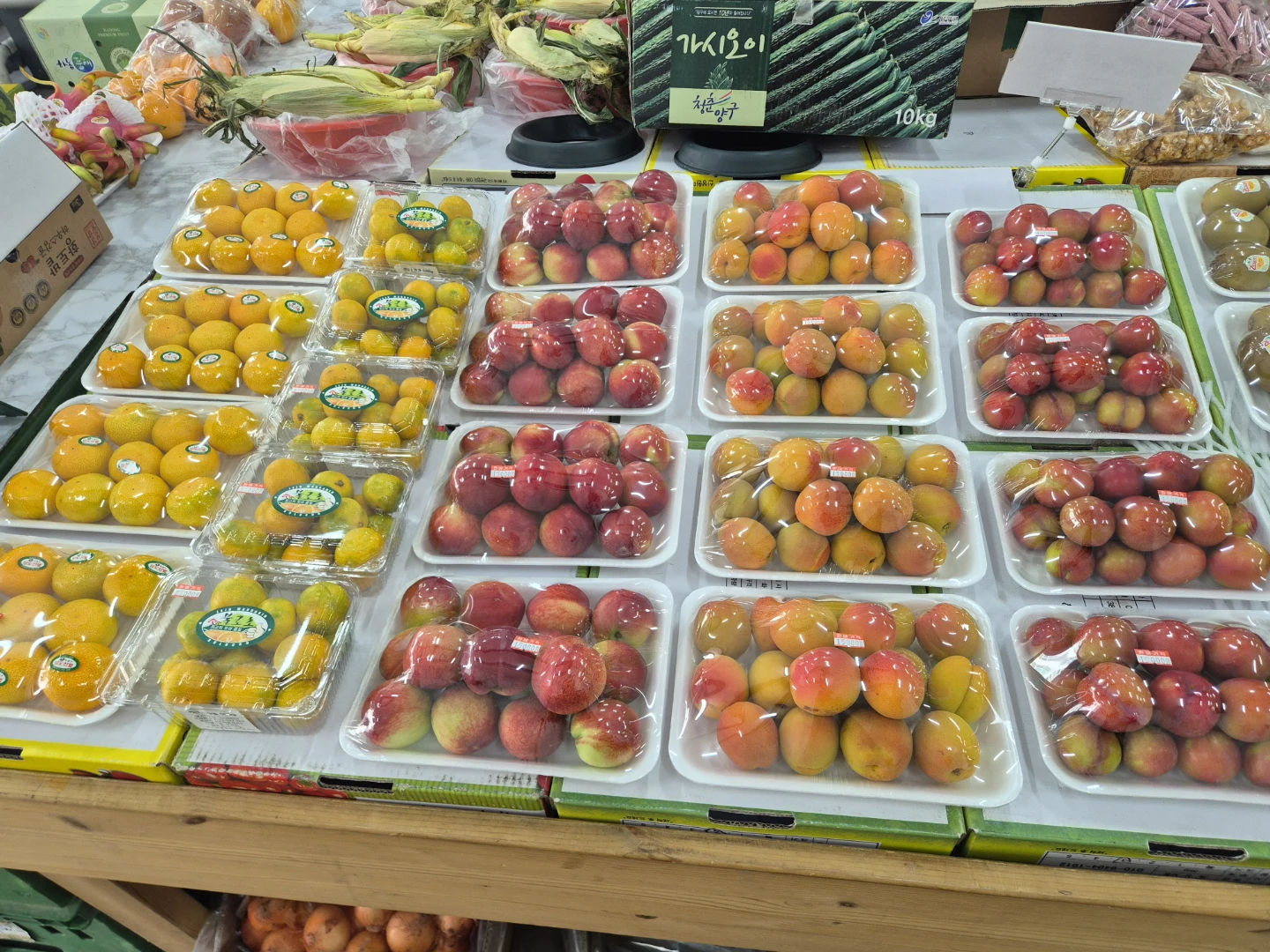 제철 과일의 맛! 🍊 감귤 애플망고 입점