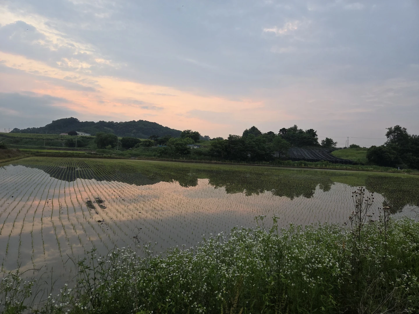 안녕하세요 오늘도 출석체크 합니다