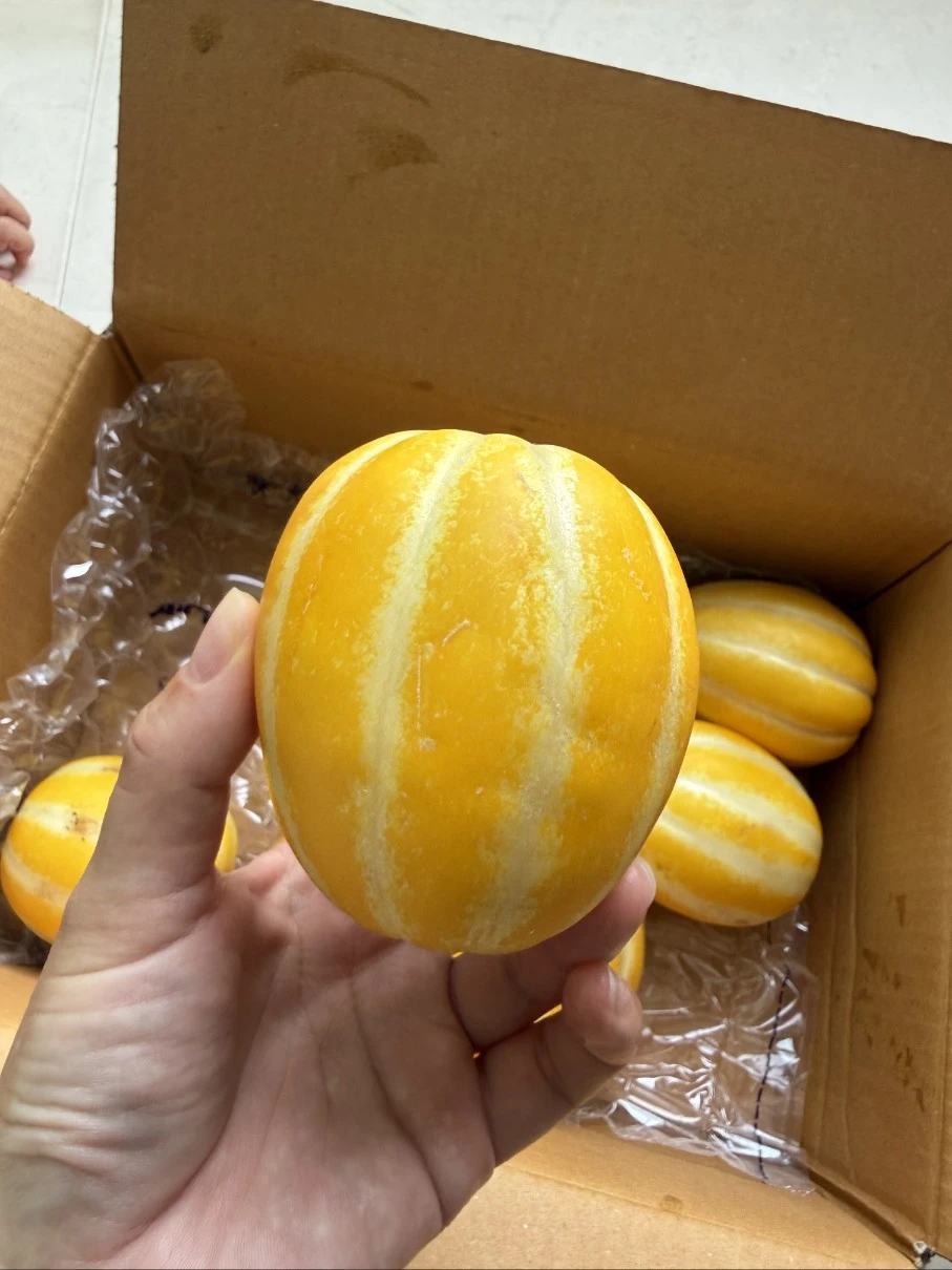 솔직하게 기대안했는데 정말 맛있습니다.