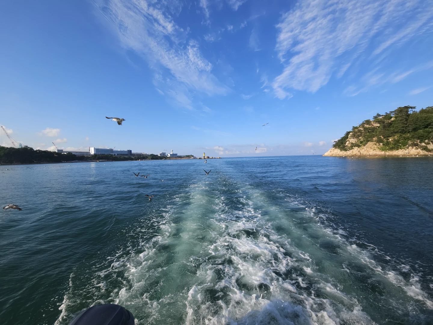울산 동구 일산해수욕장 요트타러갈래.  행복했습니다
