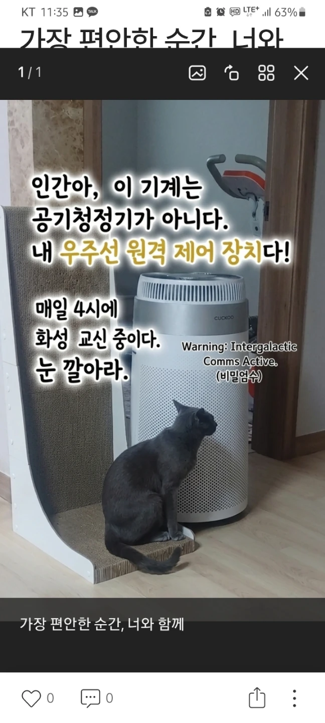 우리 냥이 화성과 교신중