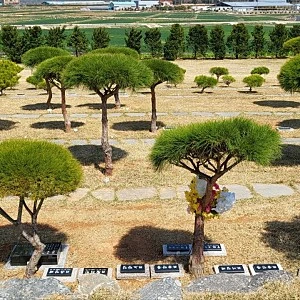 광주광역시 수목장