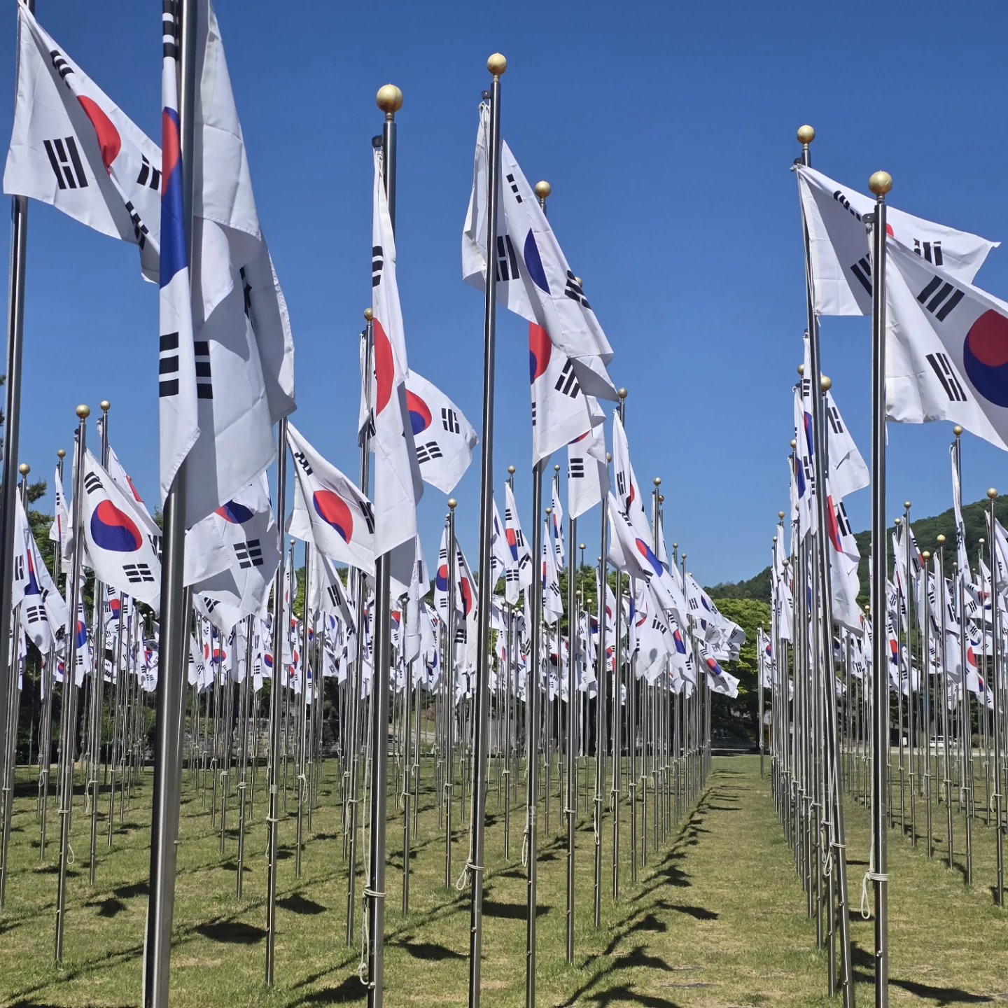태극기가 바람에 펄럭입니다