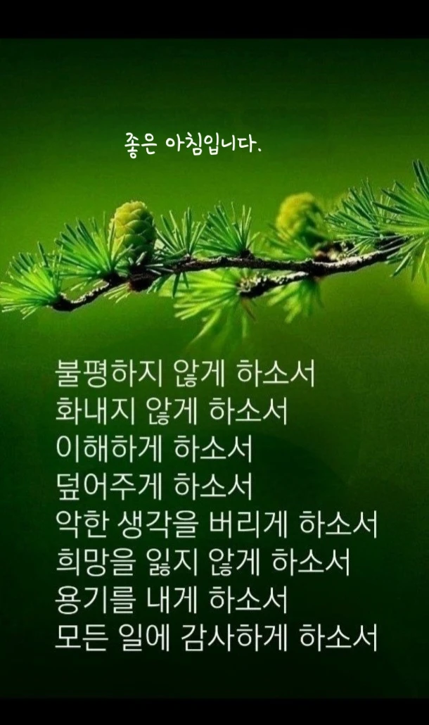 ❤ 2026년 6월 10일 수요일 출석부 ❤