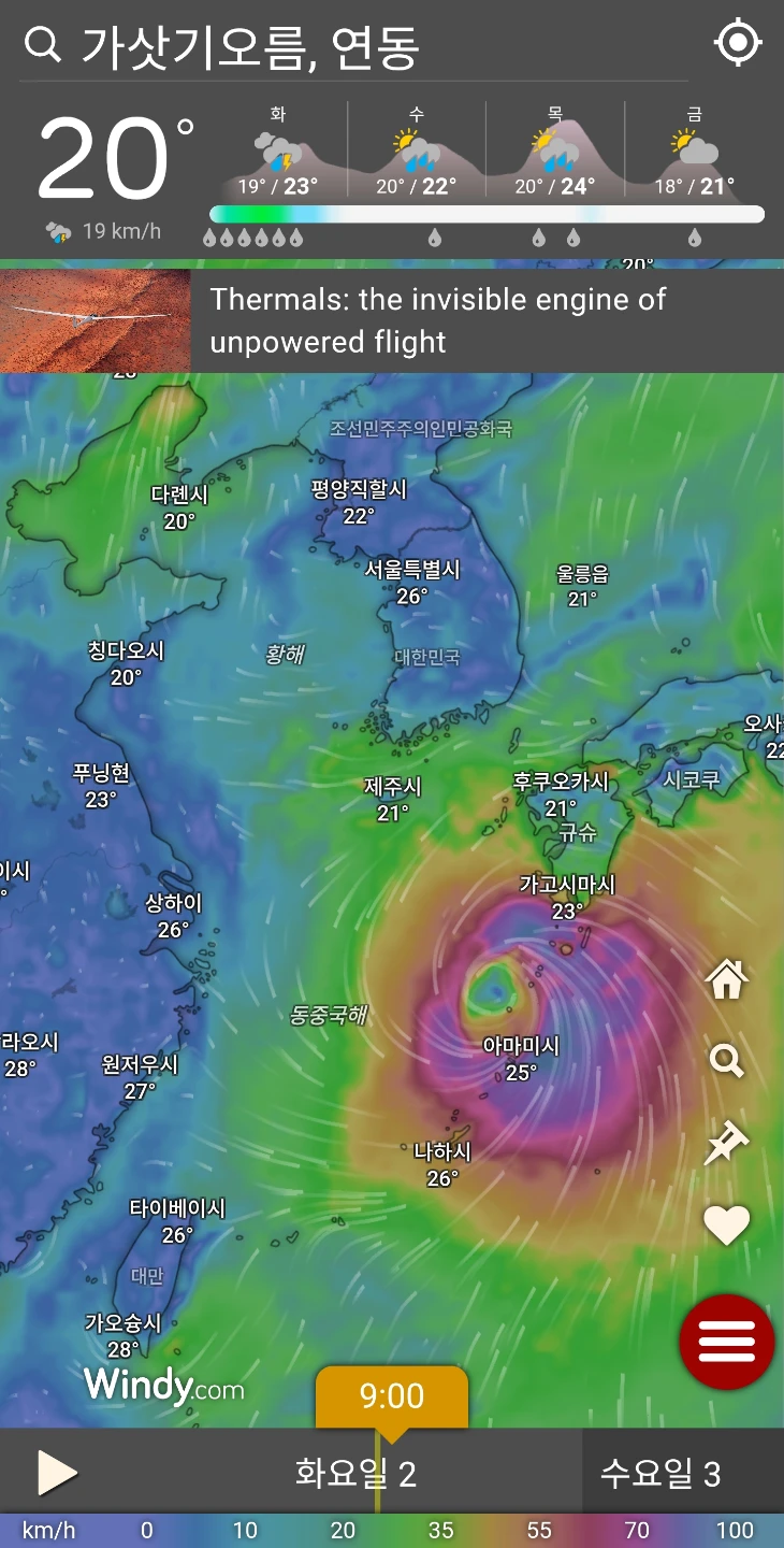 비모닝
