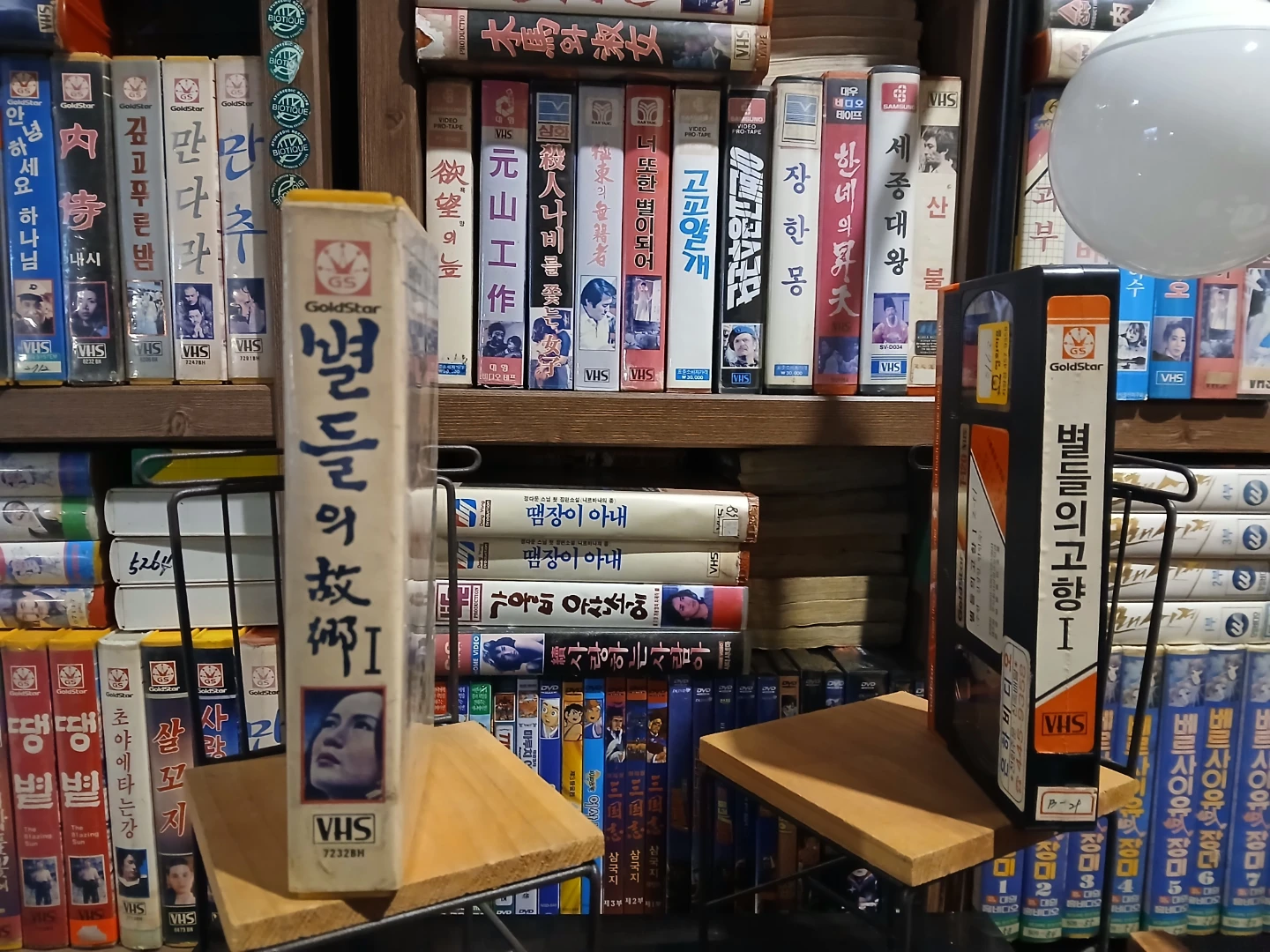 별들의고향