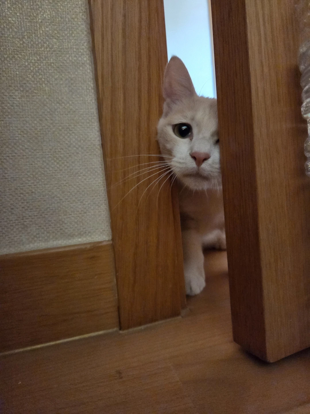 문 열라고 ㅠㅠ!
