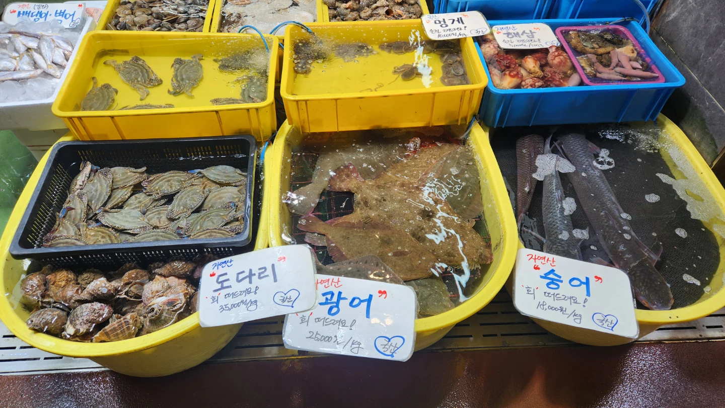 외포항 젓갈 수산물 직판장 자연산 광어