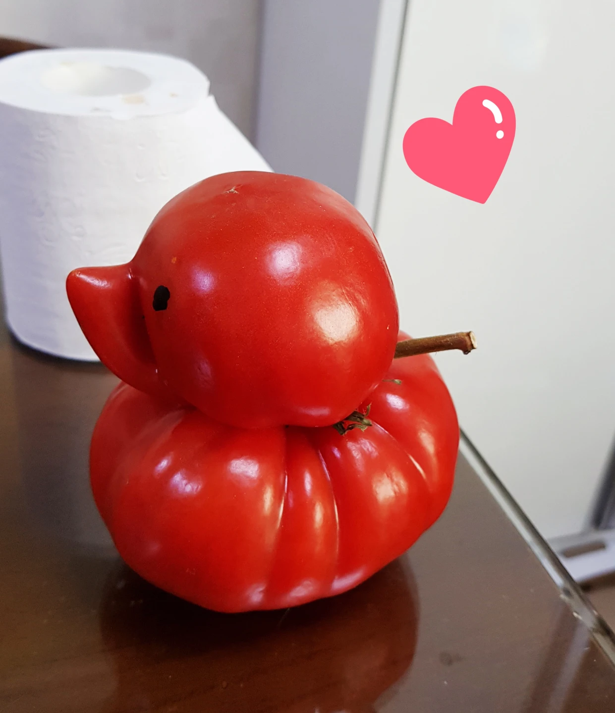 오리모양 토마토 보셨나요??