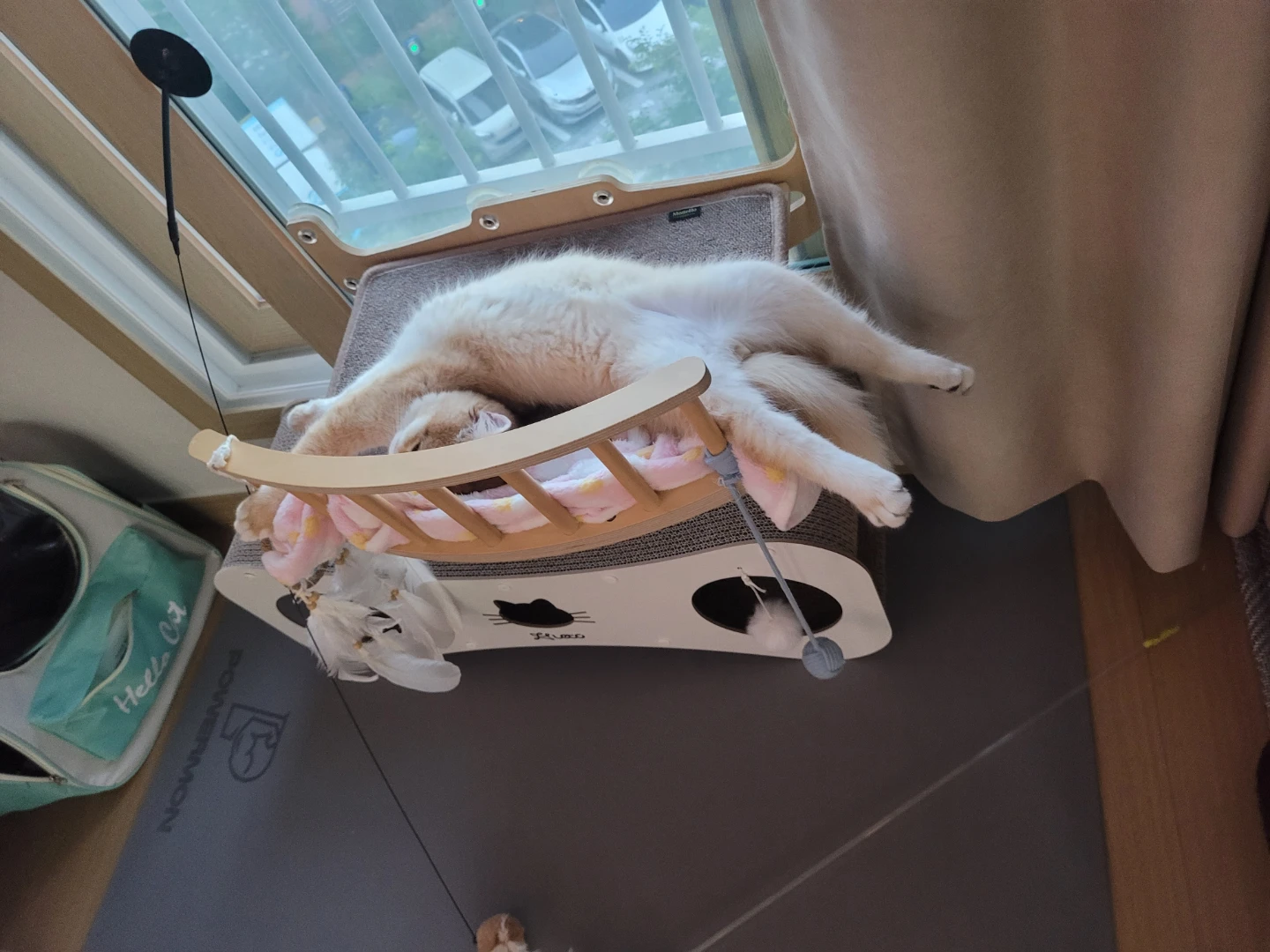 그래 너가 편하다면...