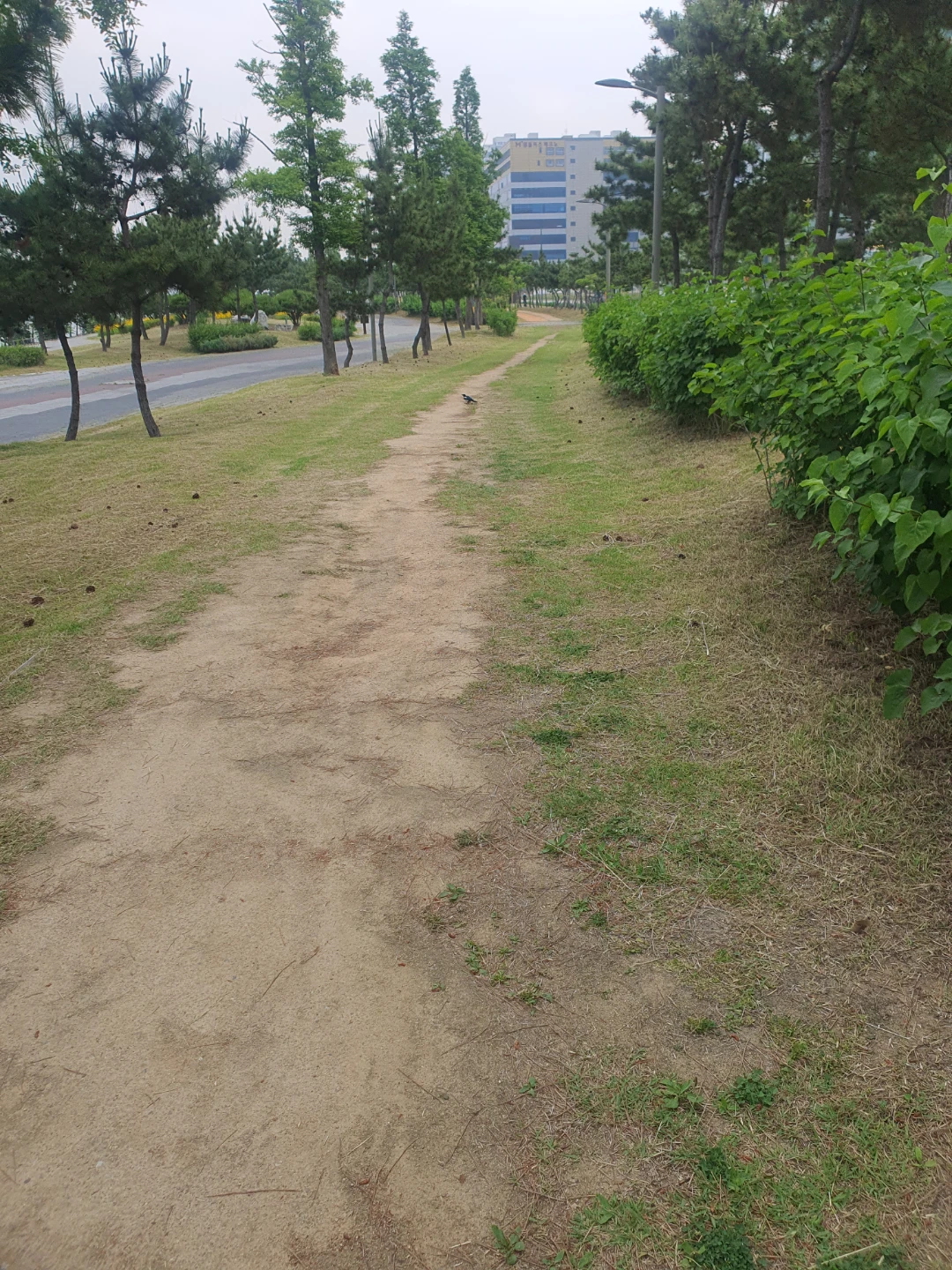 나만의 위로법 공유해요 🤗