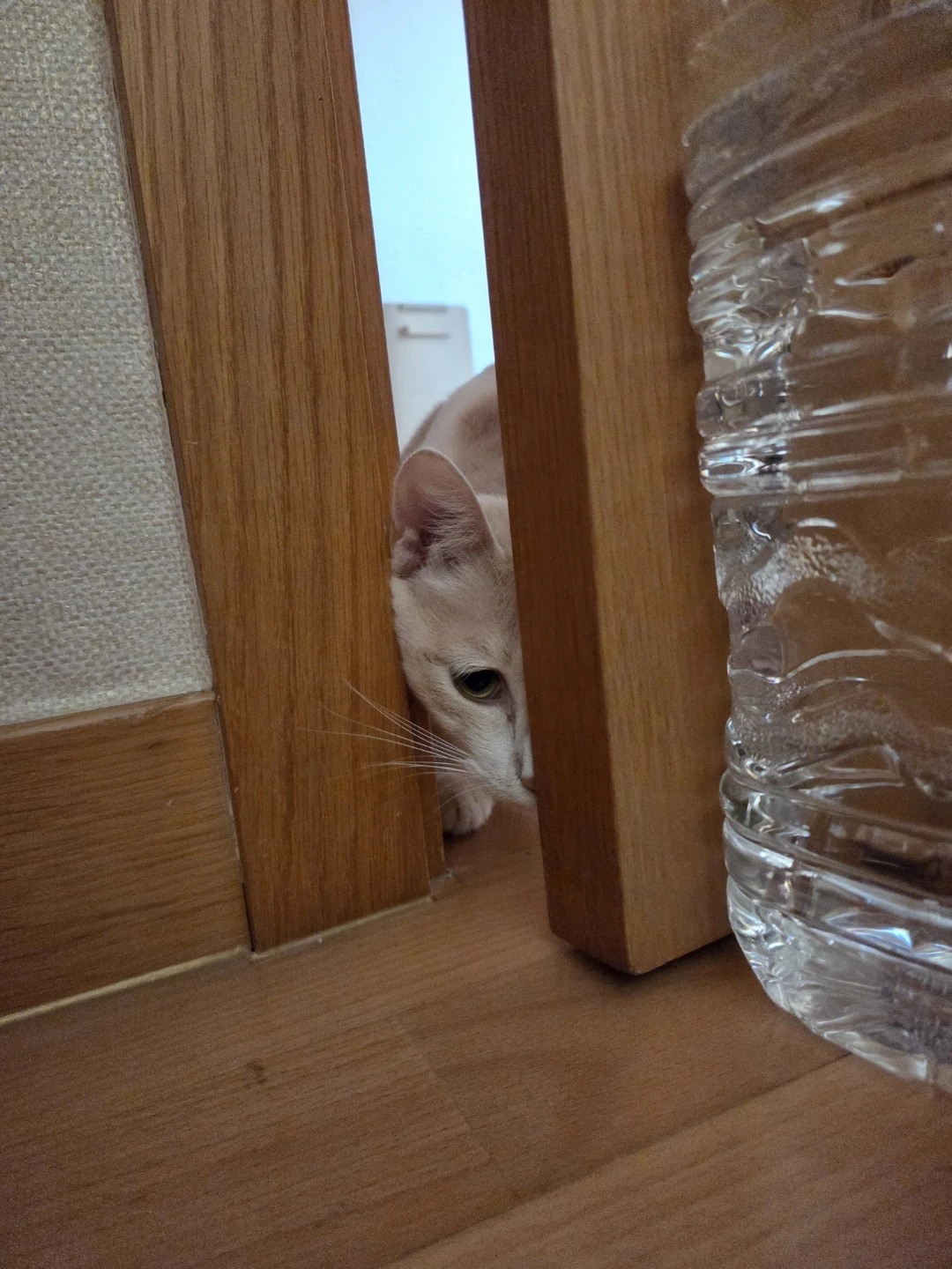 문 열라고 ㅠㅠ!
