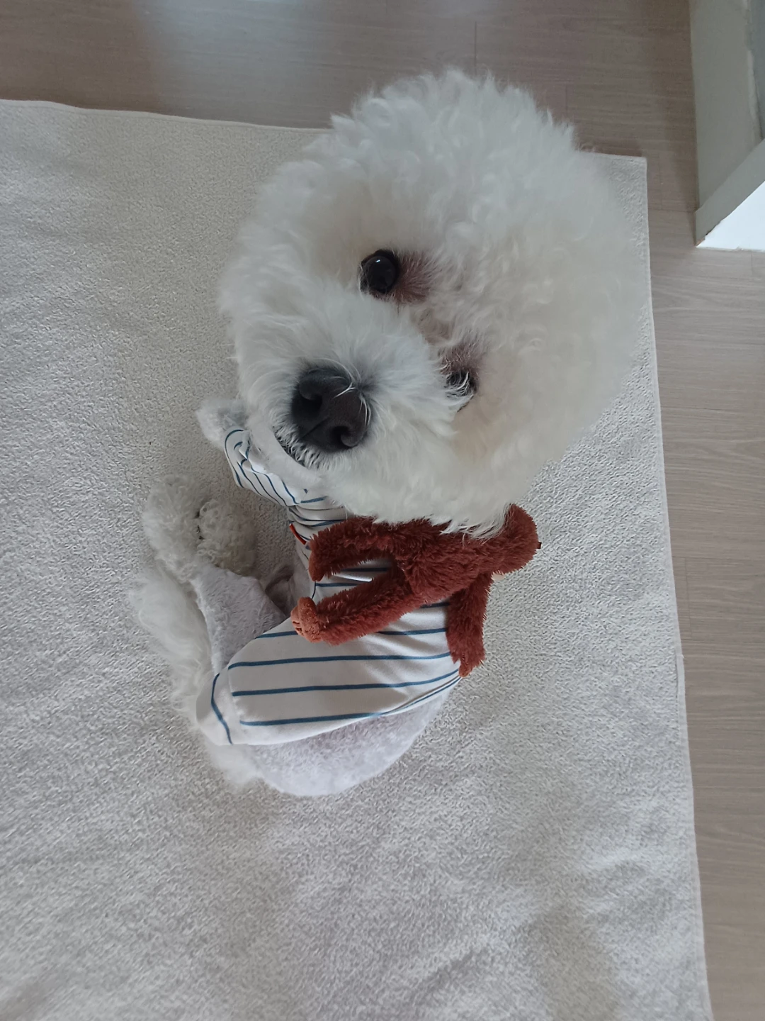 사랑스럽다