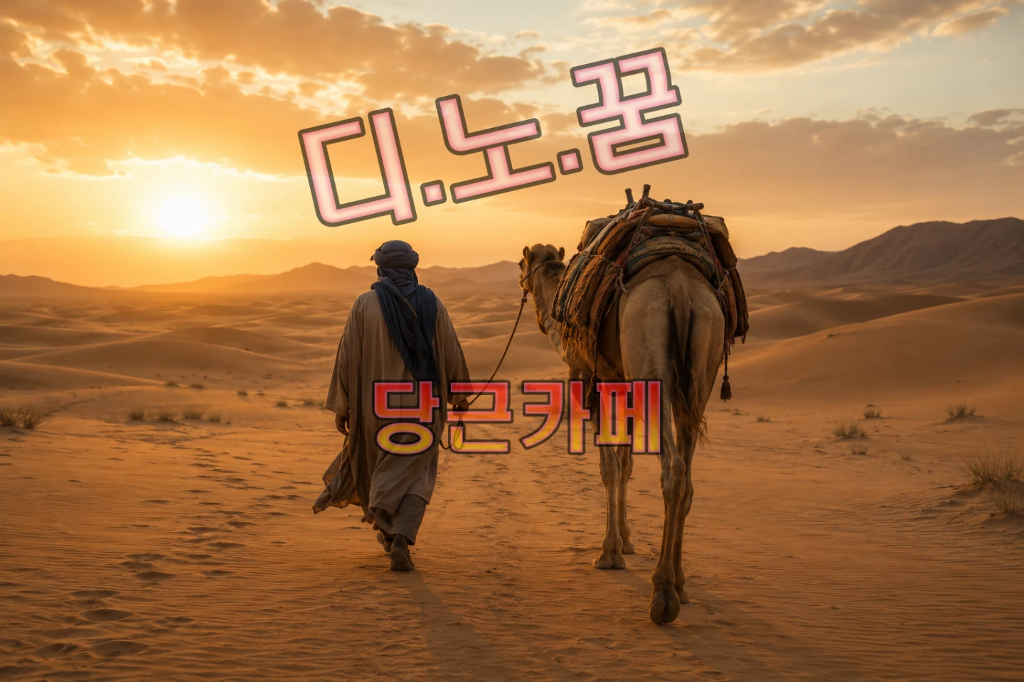 디지털 노마드 비자 (북아메리카)